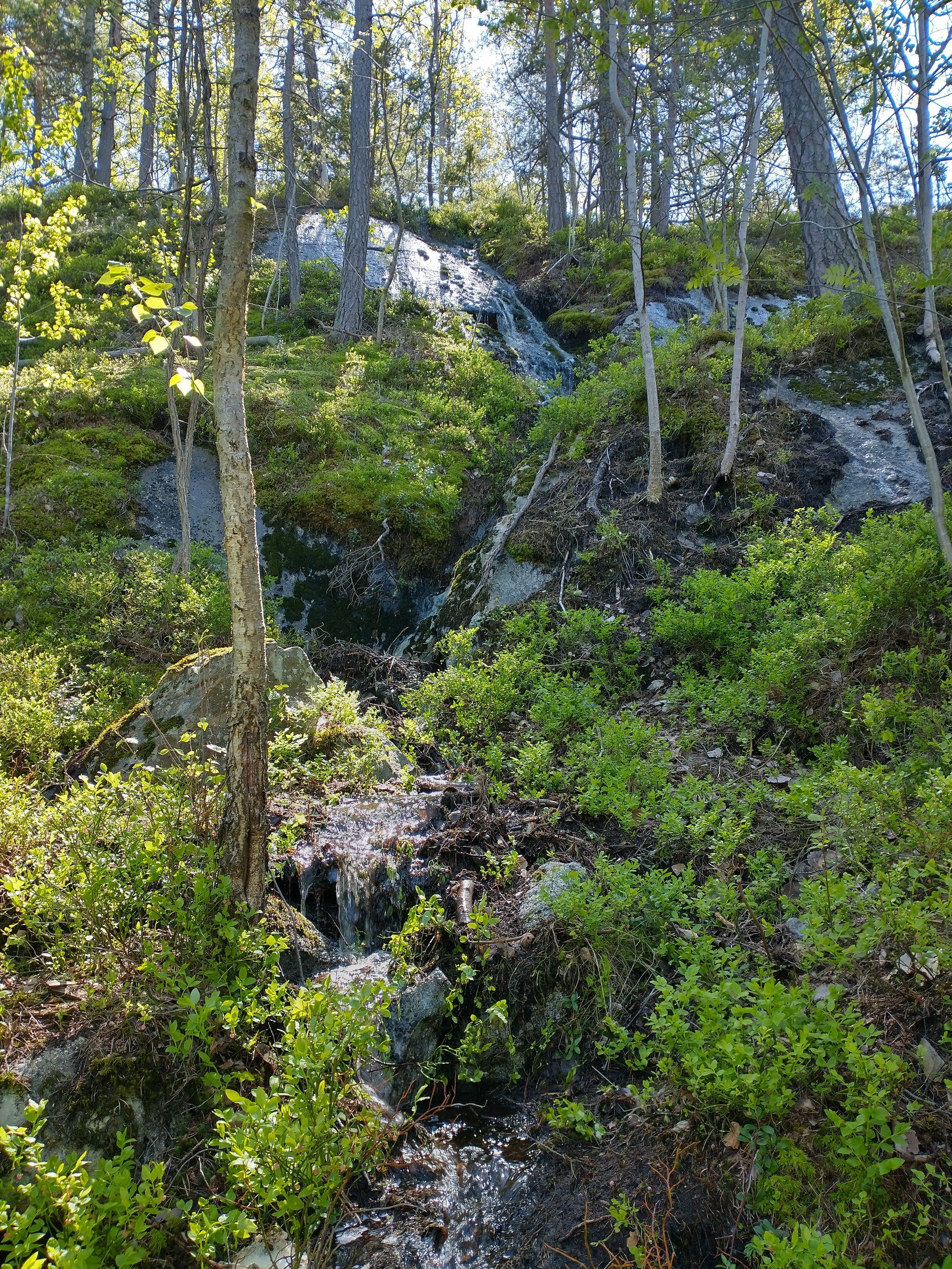 IMG_20210529_125502517_HDR.jpg