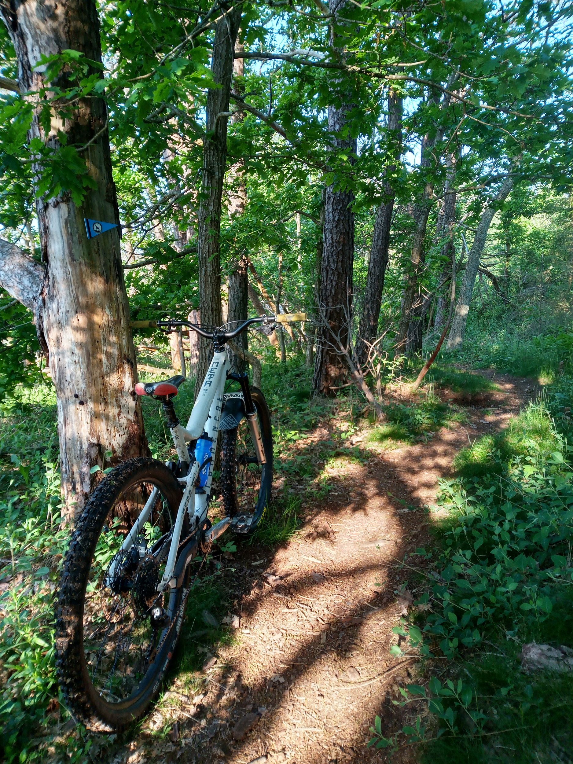 IMG_20210605_073918_675.jpg