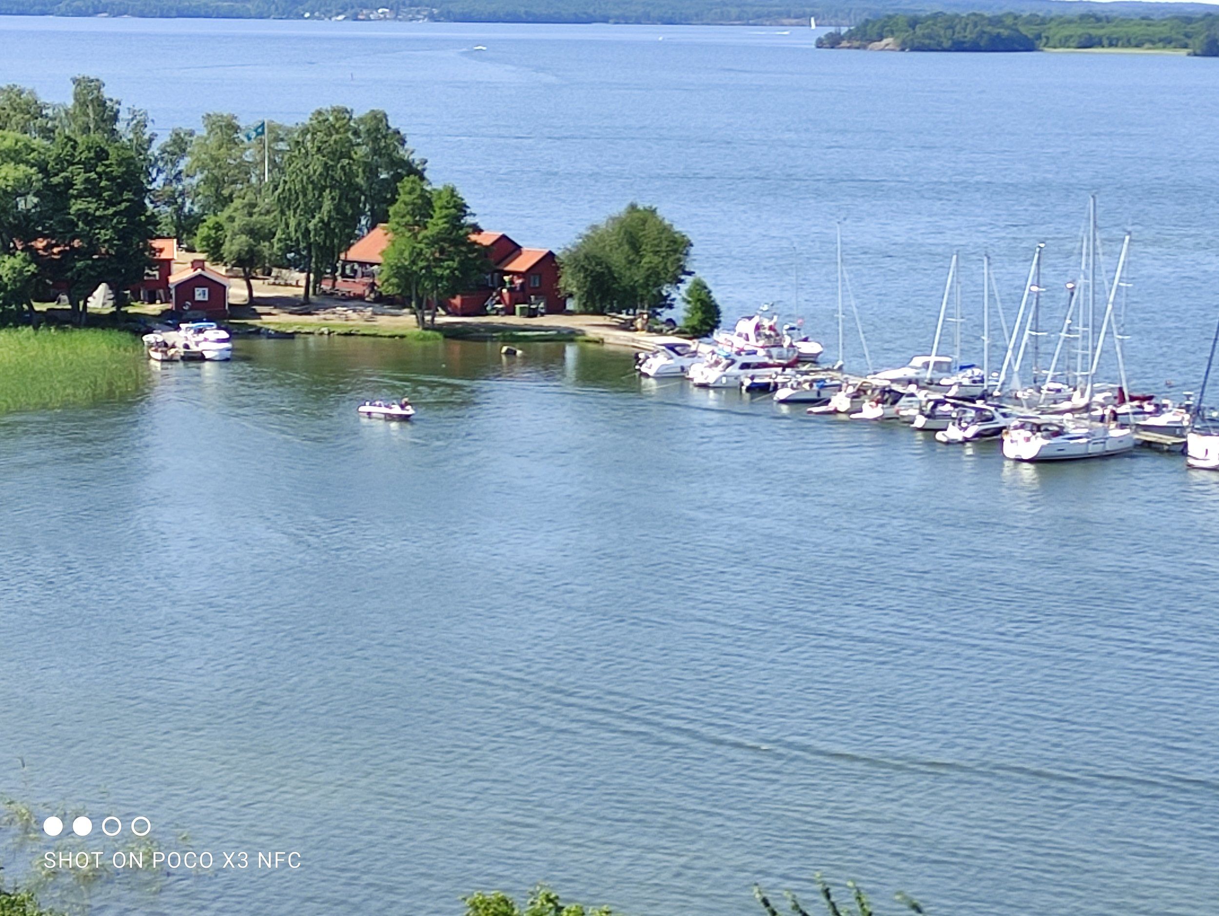 IMG_20210724_111024.jpg