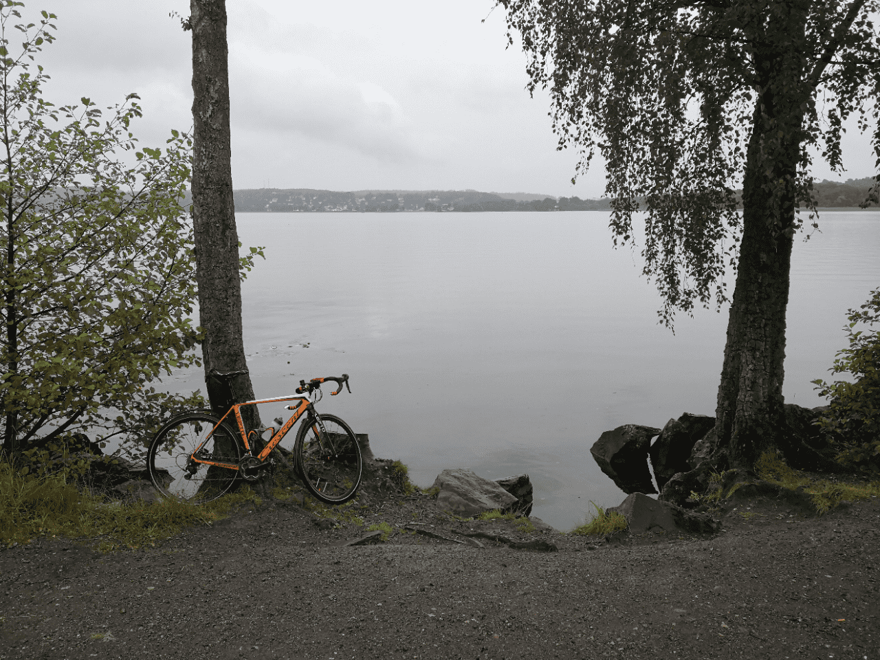 IMG_20210728_114817.png