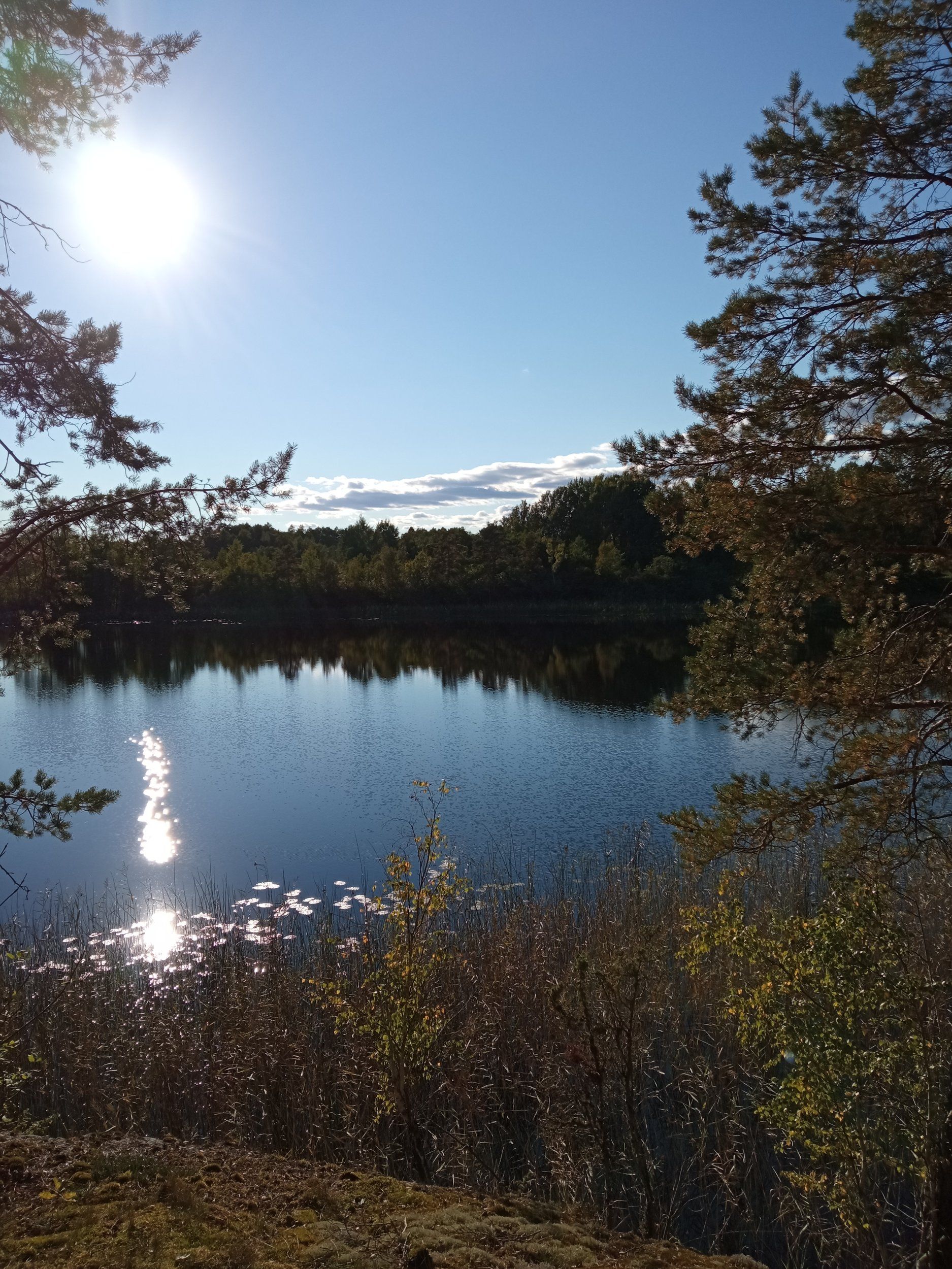 IMG_20210914_164704.jpg