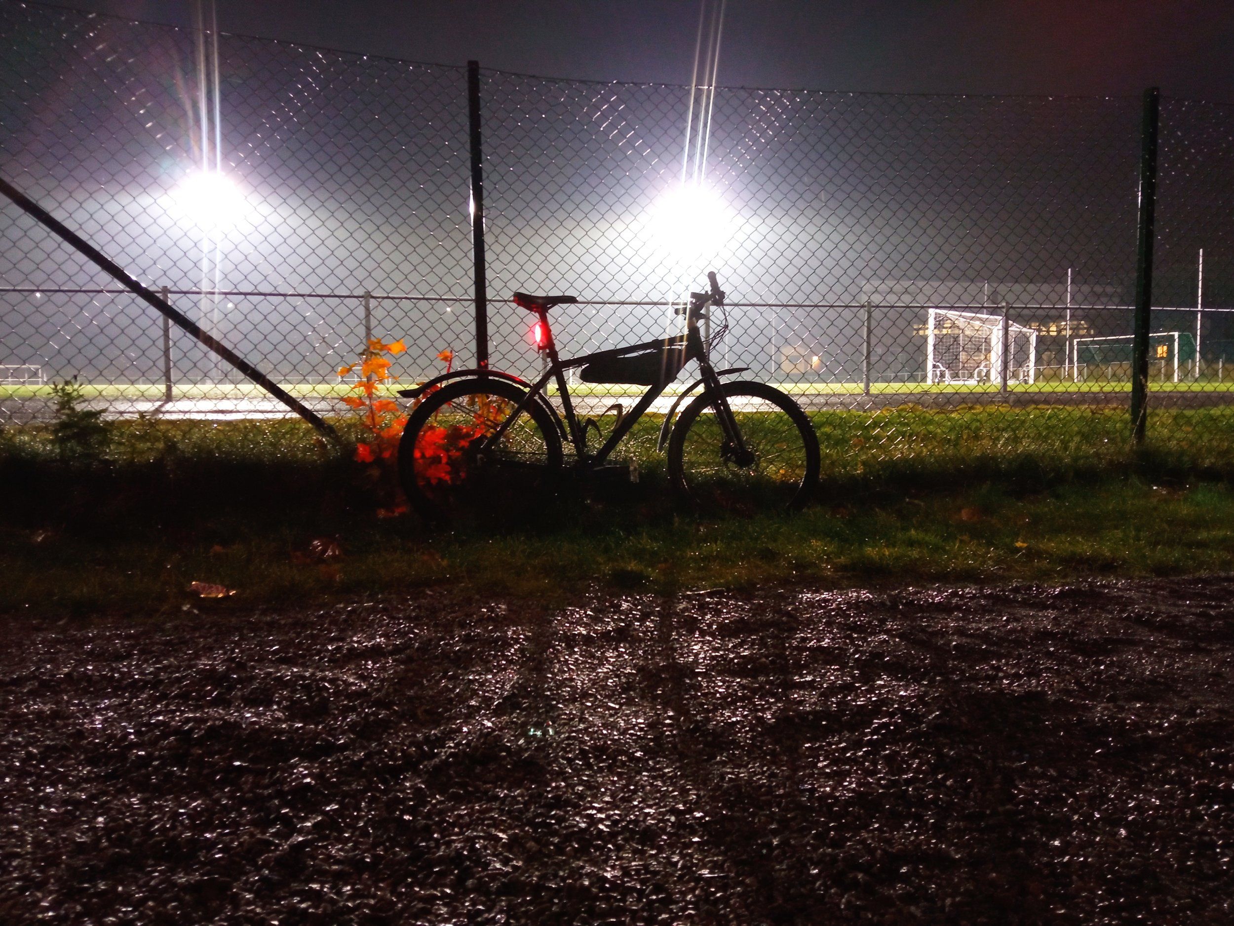 IMG_20211102_214628.jpg
