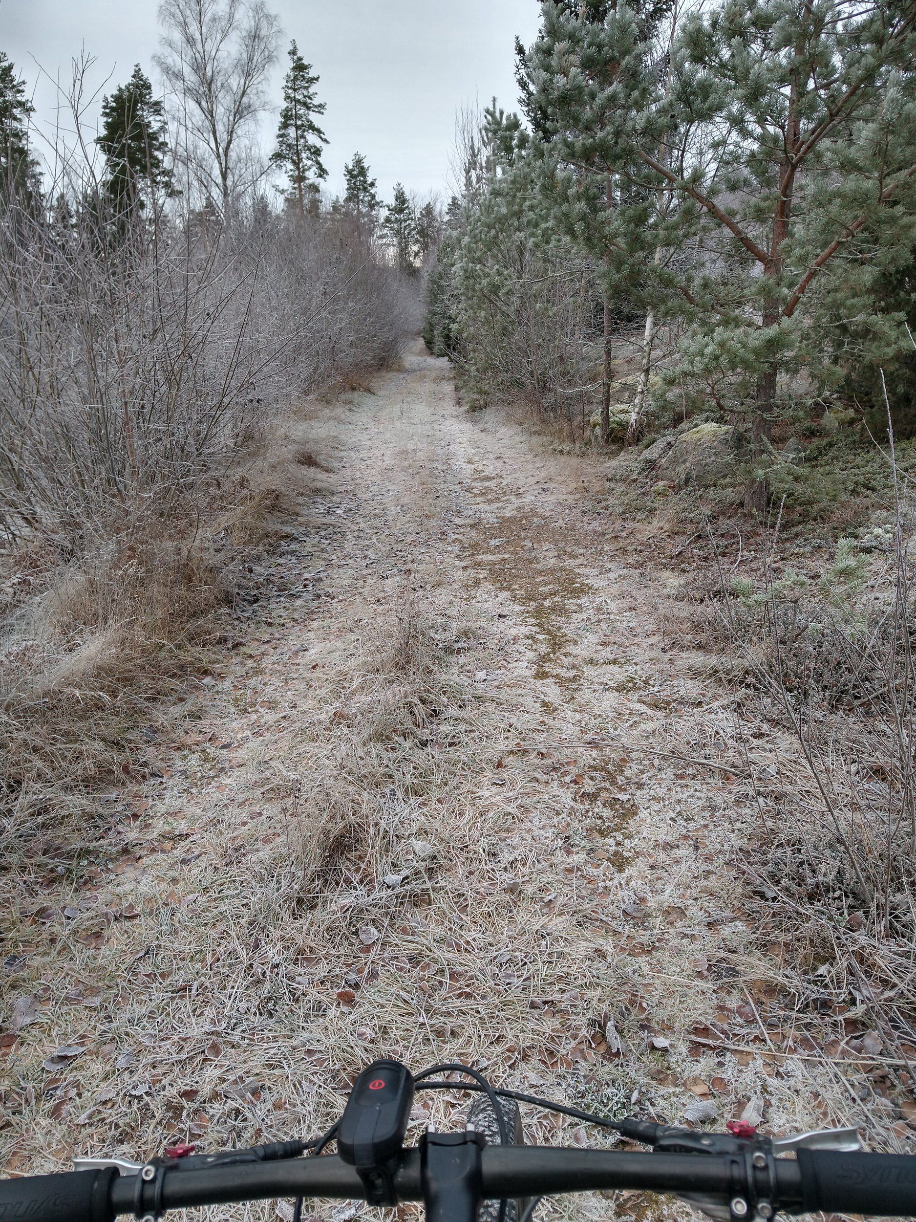 IMG_20211127_132950072_HDR.jpg