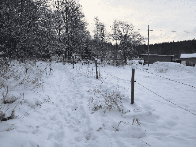 IMG_20211206_092417.png