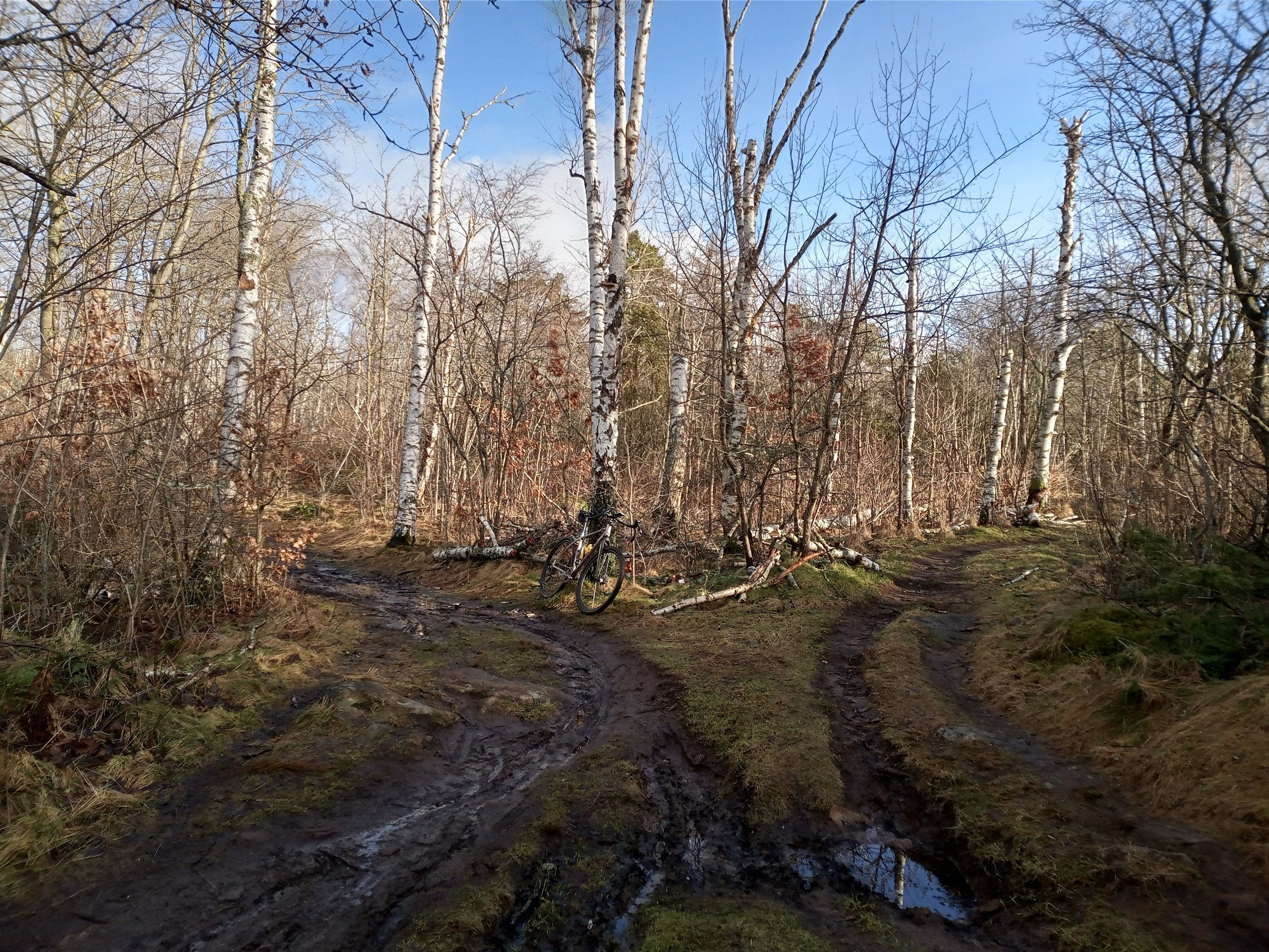 IMG_20220219_102743_477.jpg
