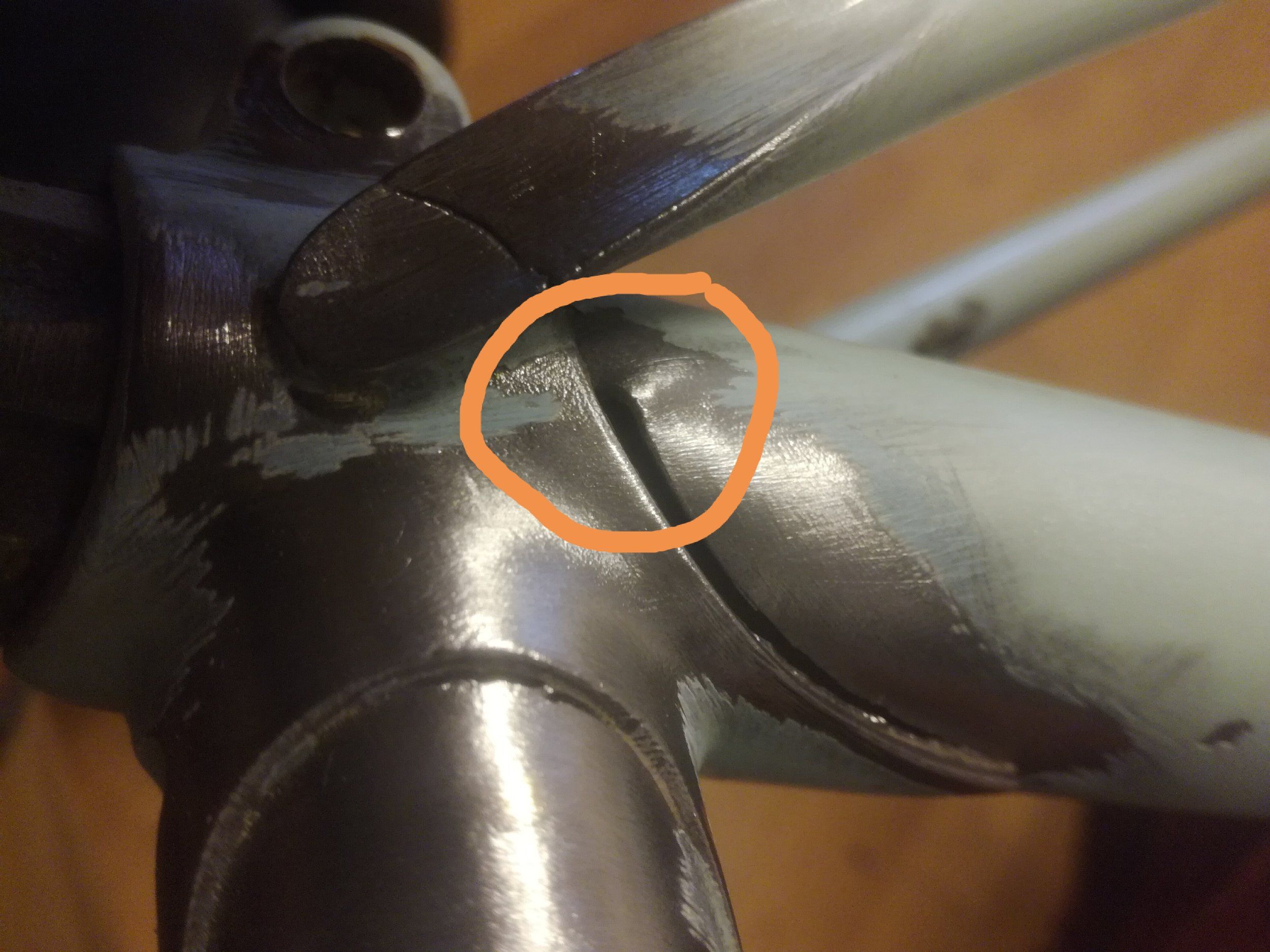 IMG_20220404_121051.jpg