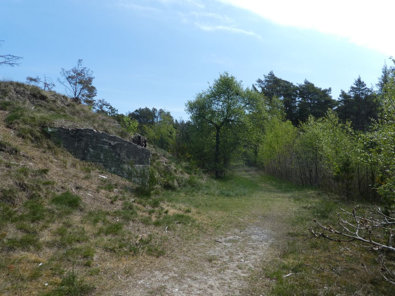 IMG_20220527_092930_379.jpg