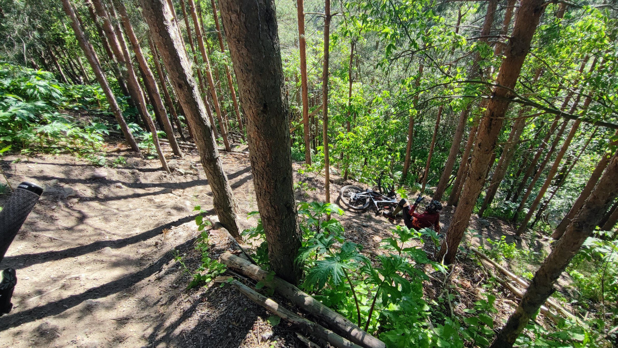 IMG_20220605_165616.jpg