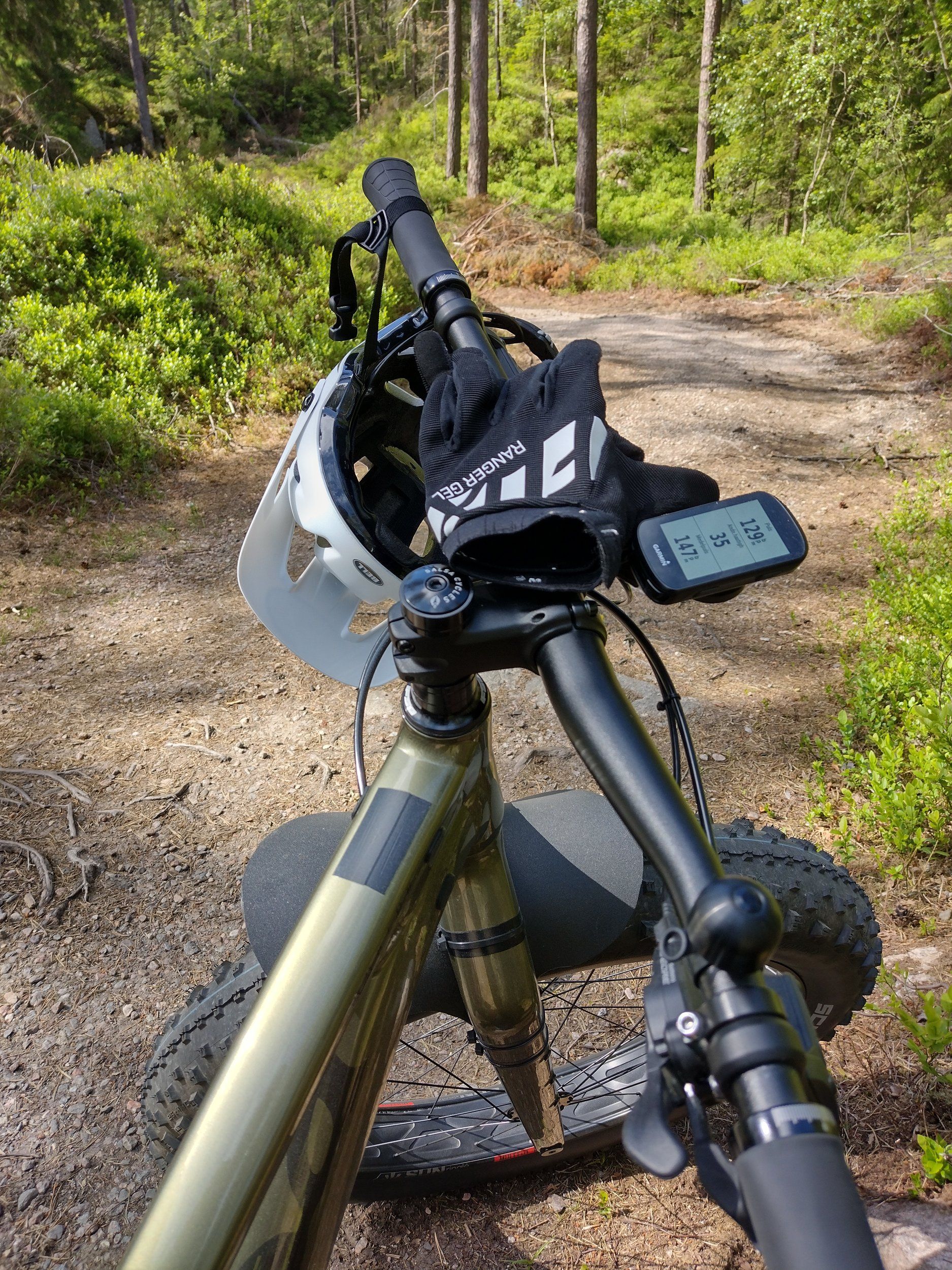 IMG_20220616_101225455_HDR.jpg