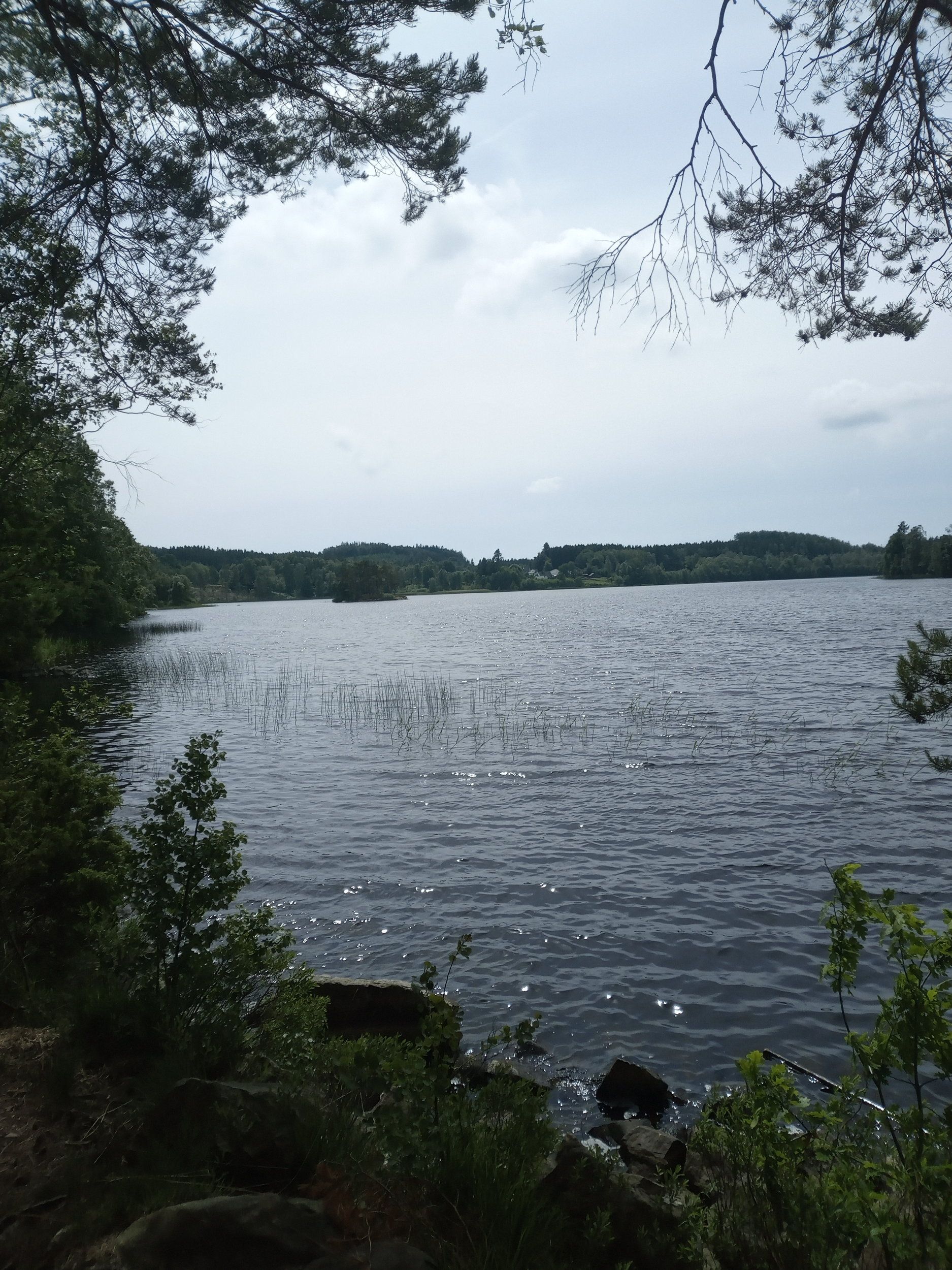 IMG_20220617_135401_090.jpg