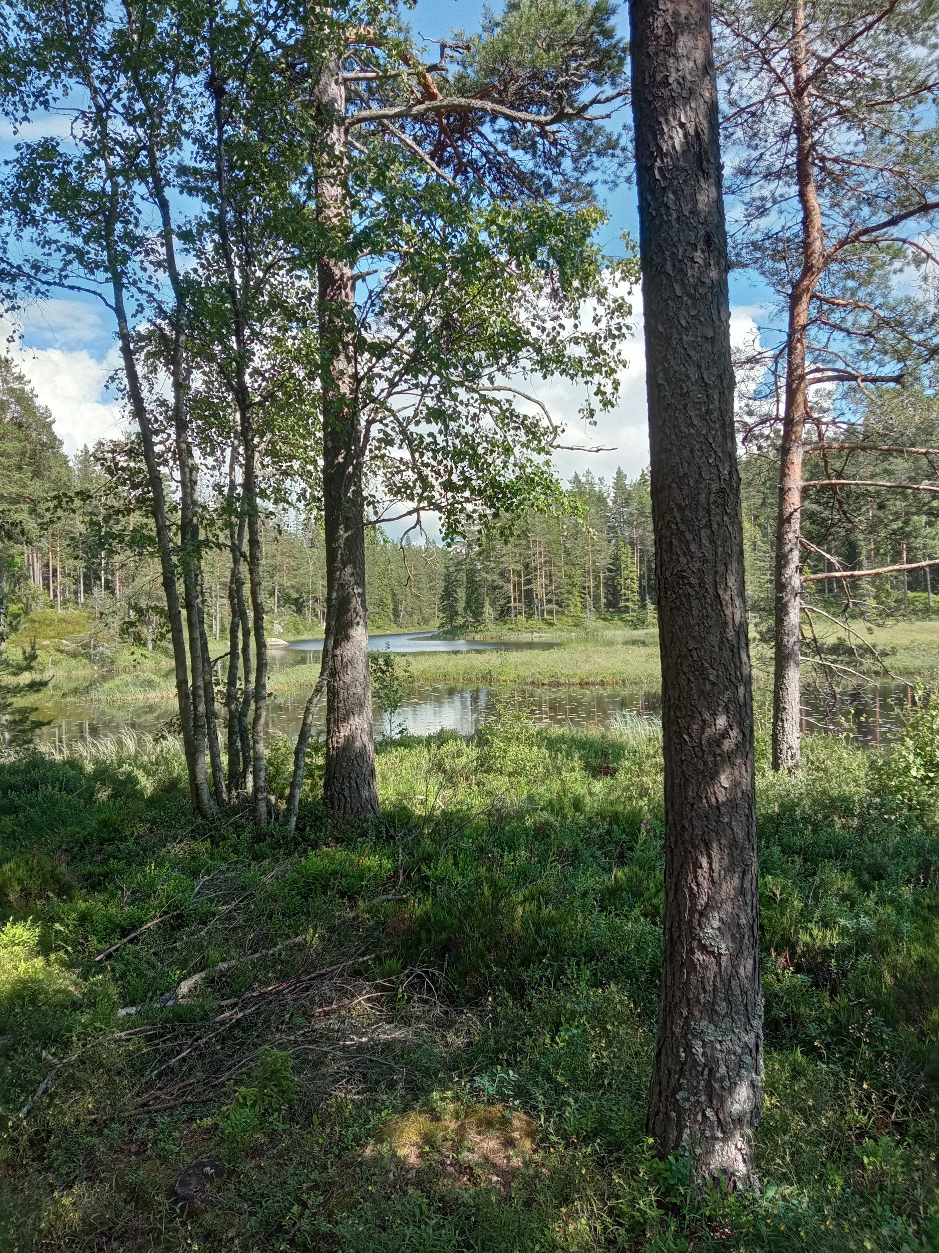 IMG_20220701_160715.jpg