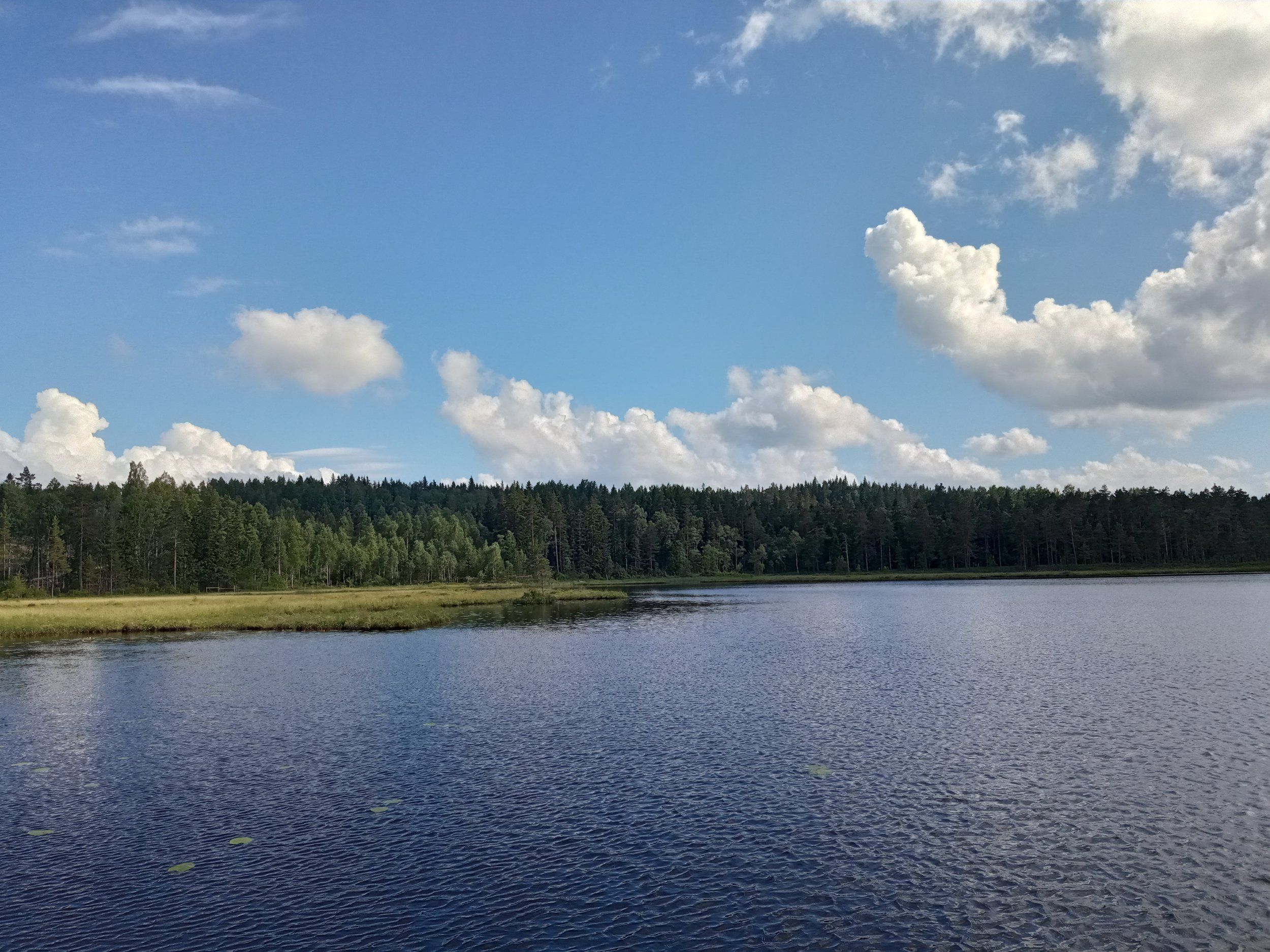 IMG_20220701_162449.jpg
