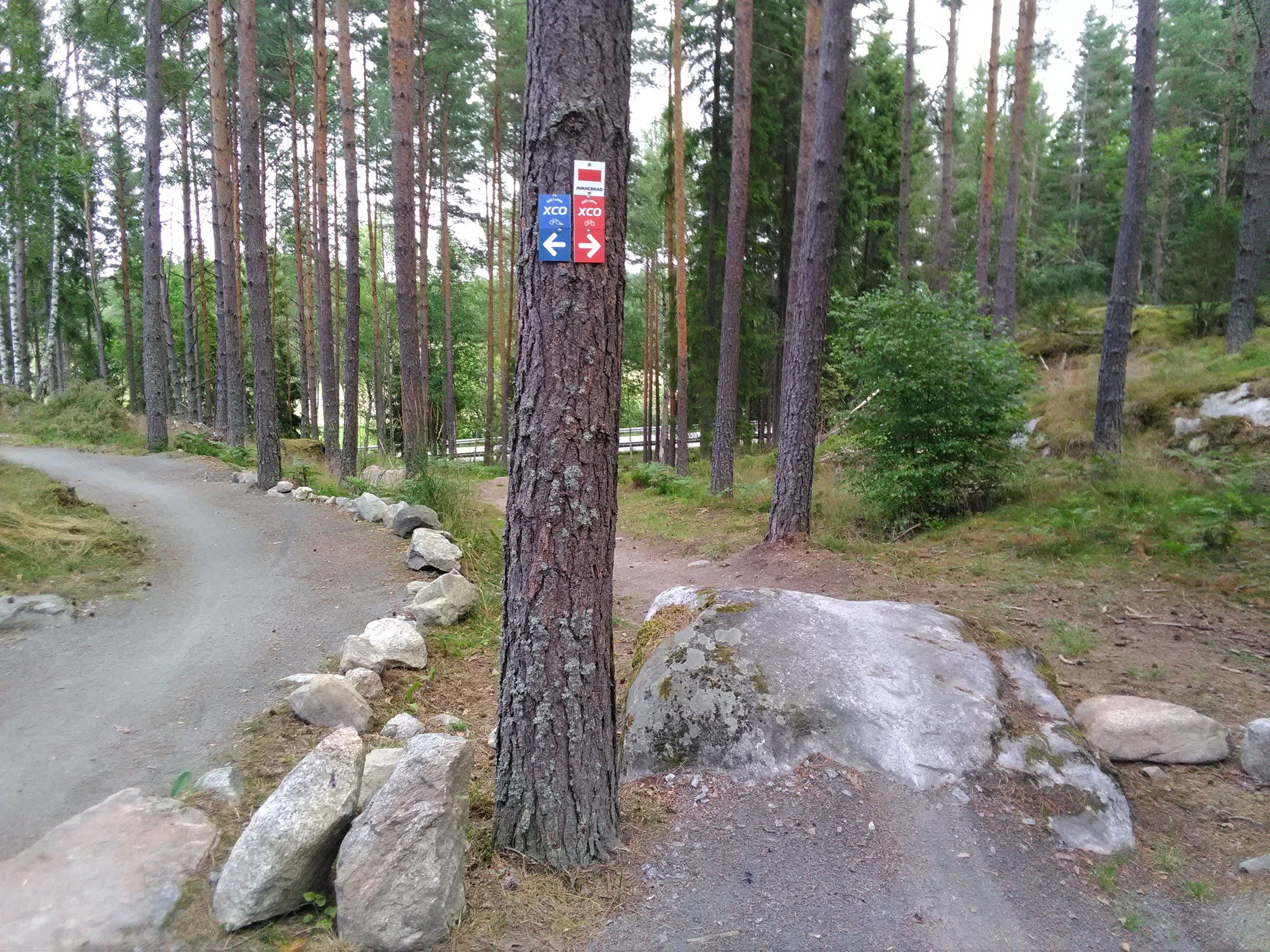 IMG_20220716_124028.jpg
