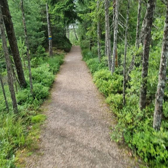 IMG_20220720_164153_005.jpg