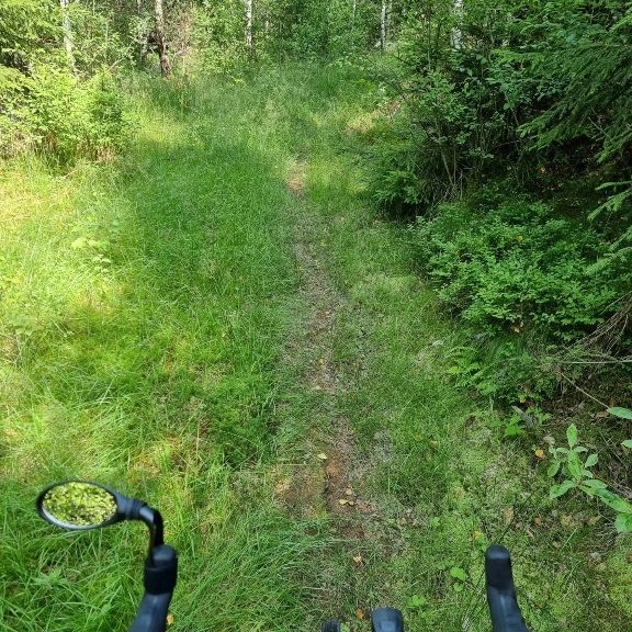 IMG_20220720_164153_188.jpg