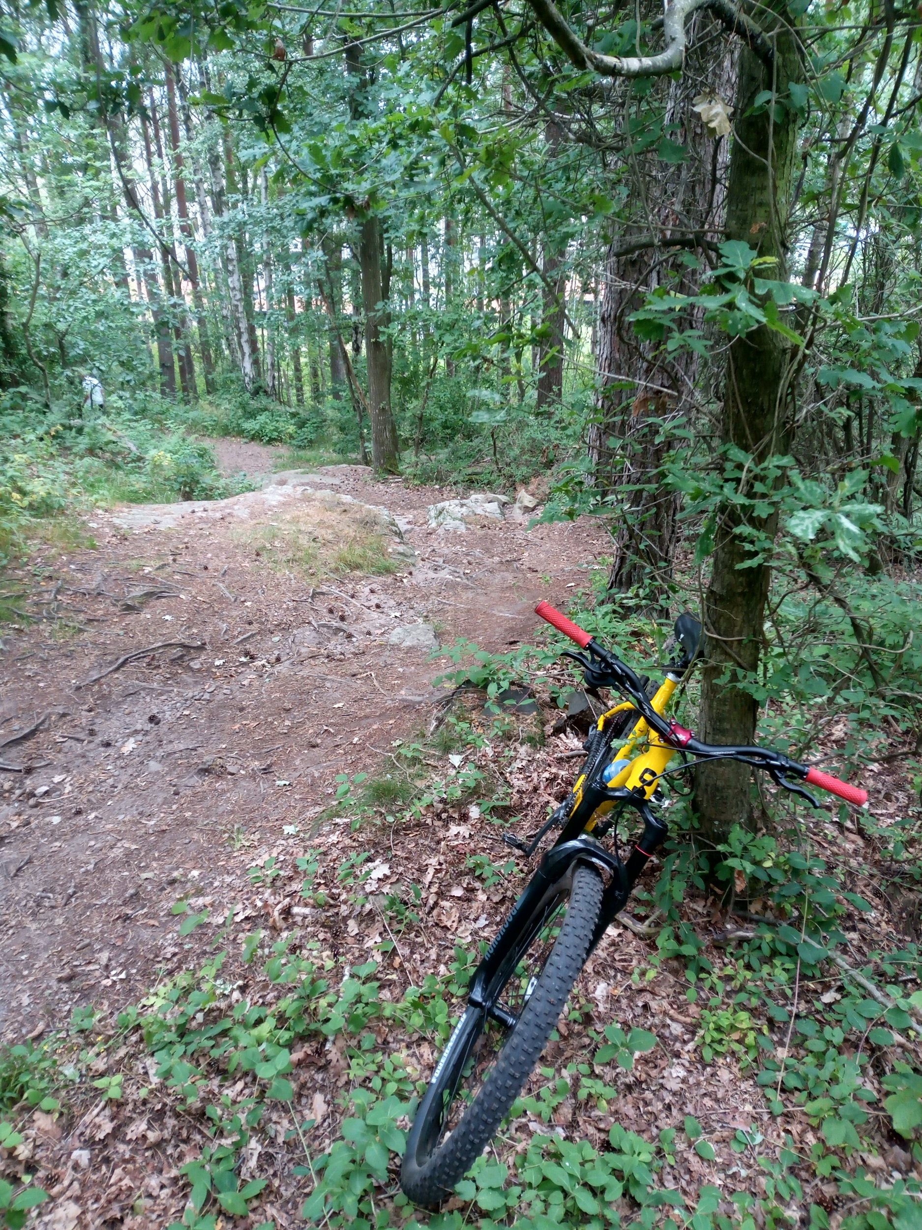 IMG_20220722_161917_180.jpg