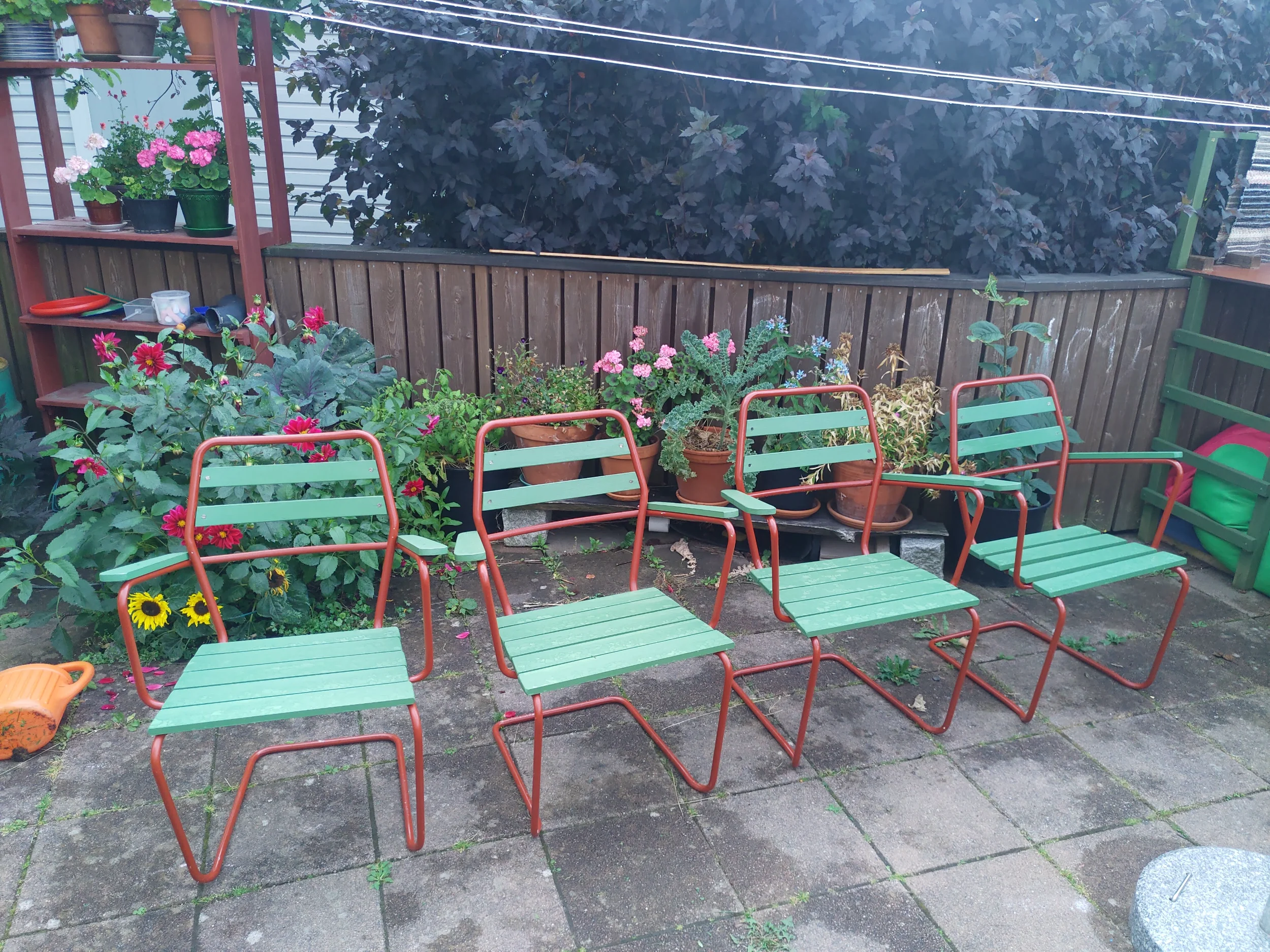 IMG_20220805_183300.webp