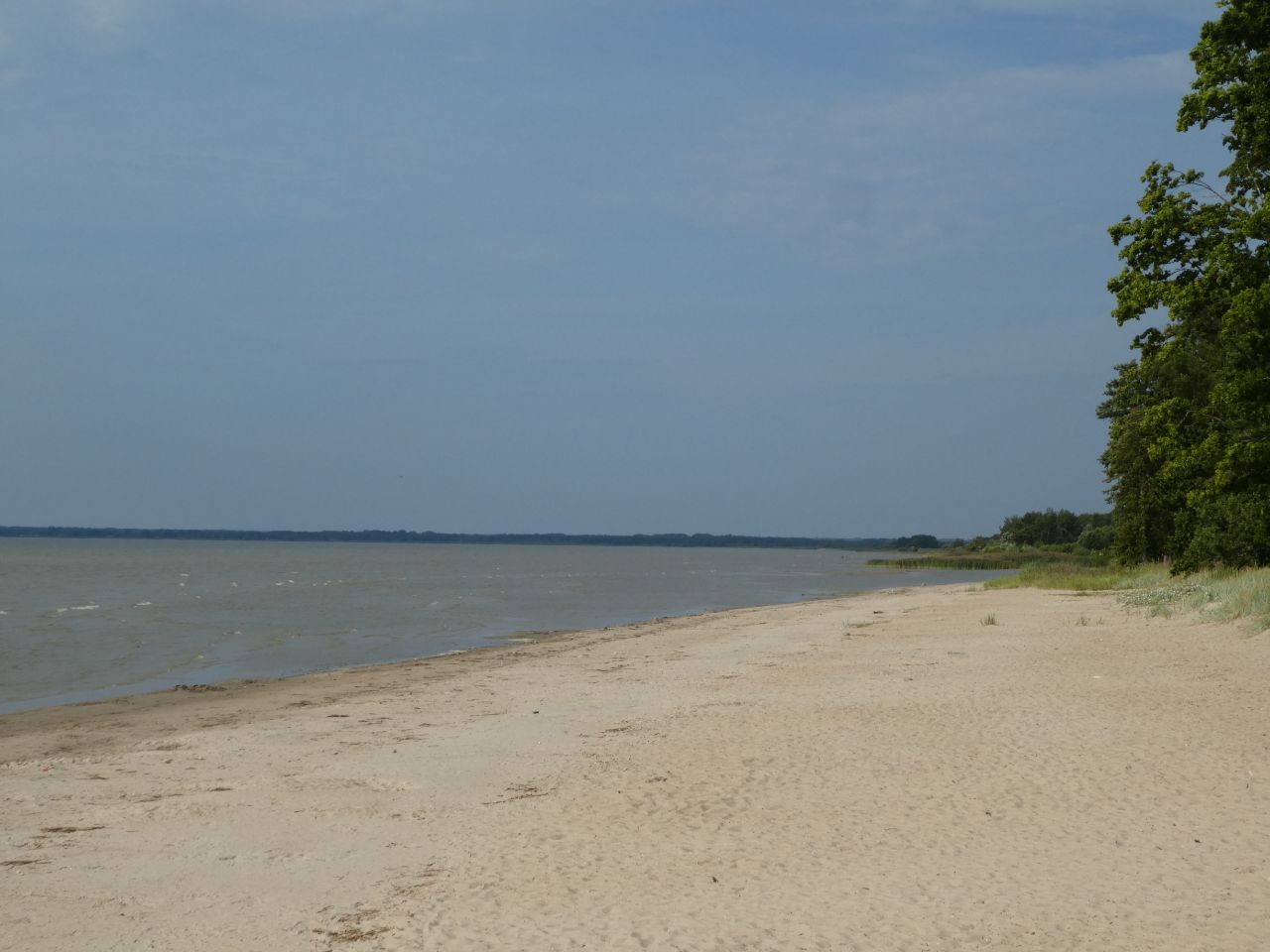 IMG_20220817_221157_241.jpg