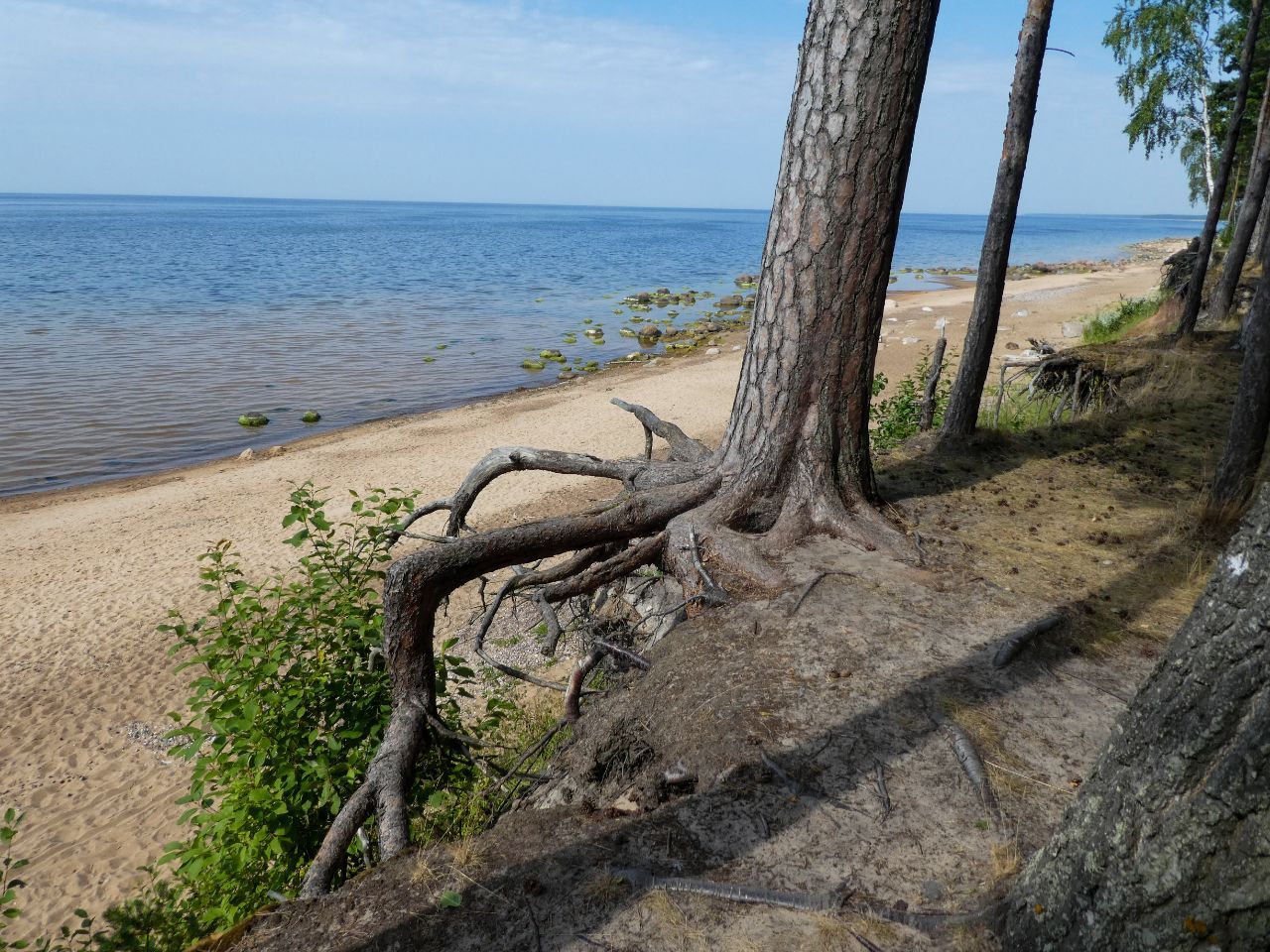 IMG_20220823_170008_431.jpg