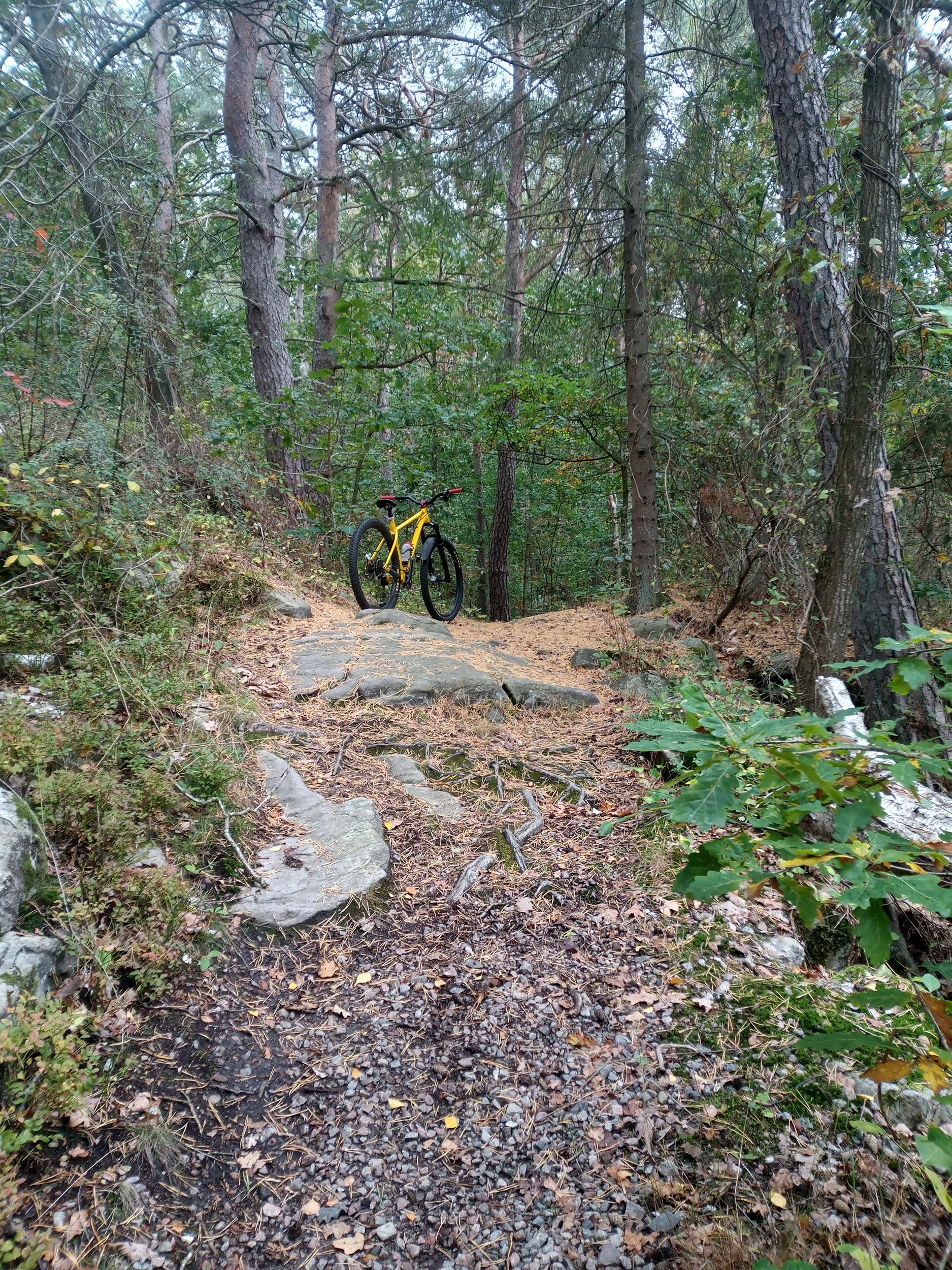 IMG_20220914_164559_442.jpg