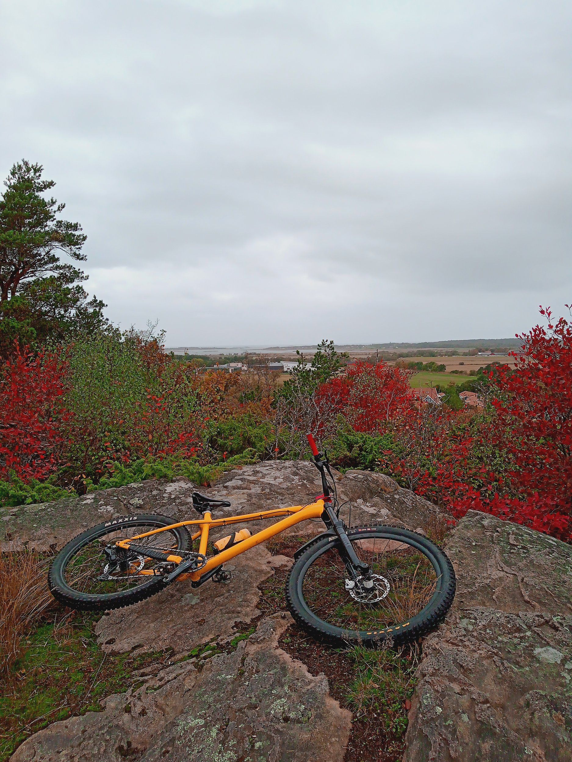 IMG_20221006_162245_400.jpg