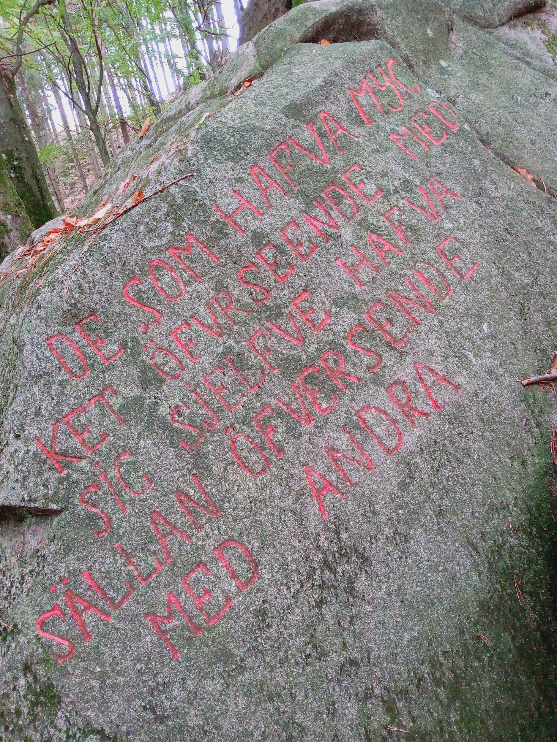 IMG_20221011_124115_564.jpg