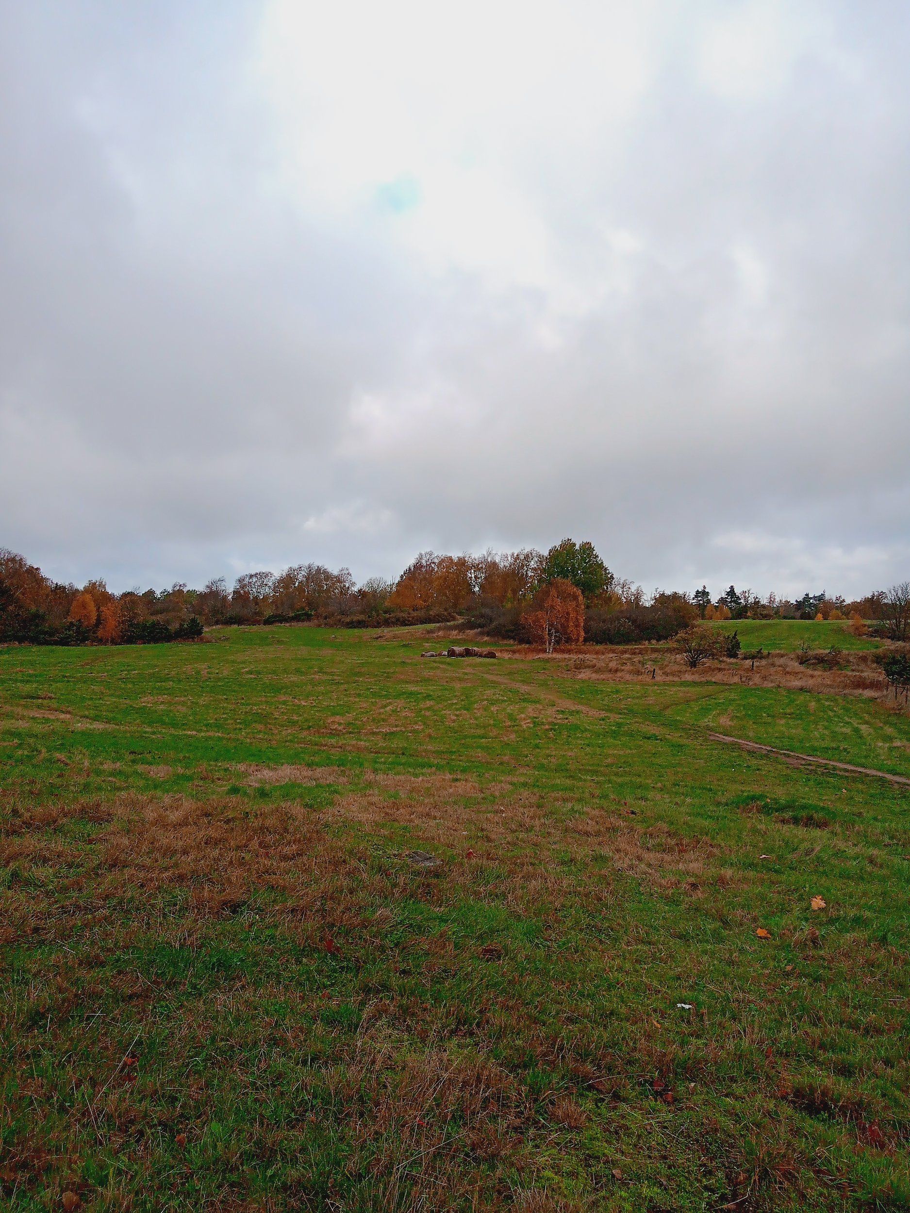 IMG_20221025_103609_644.jpg