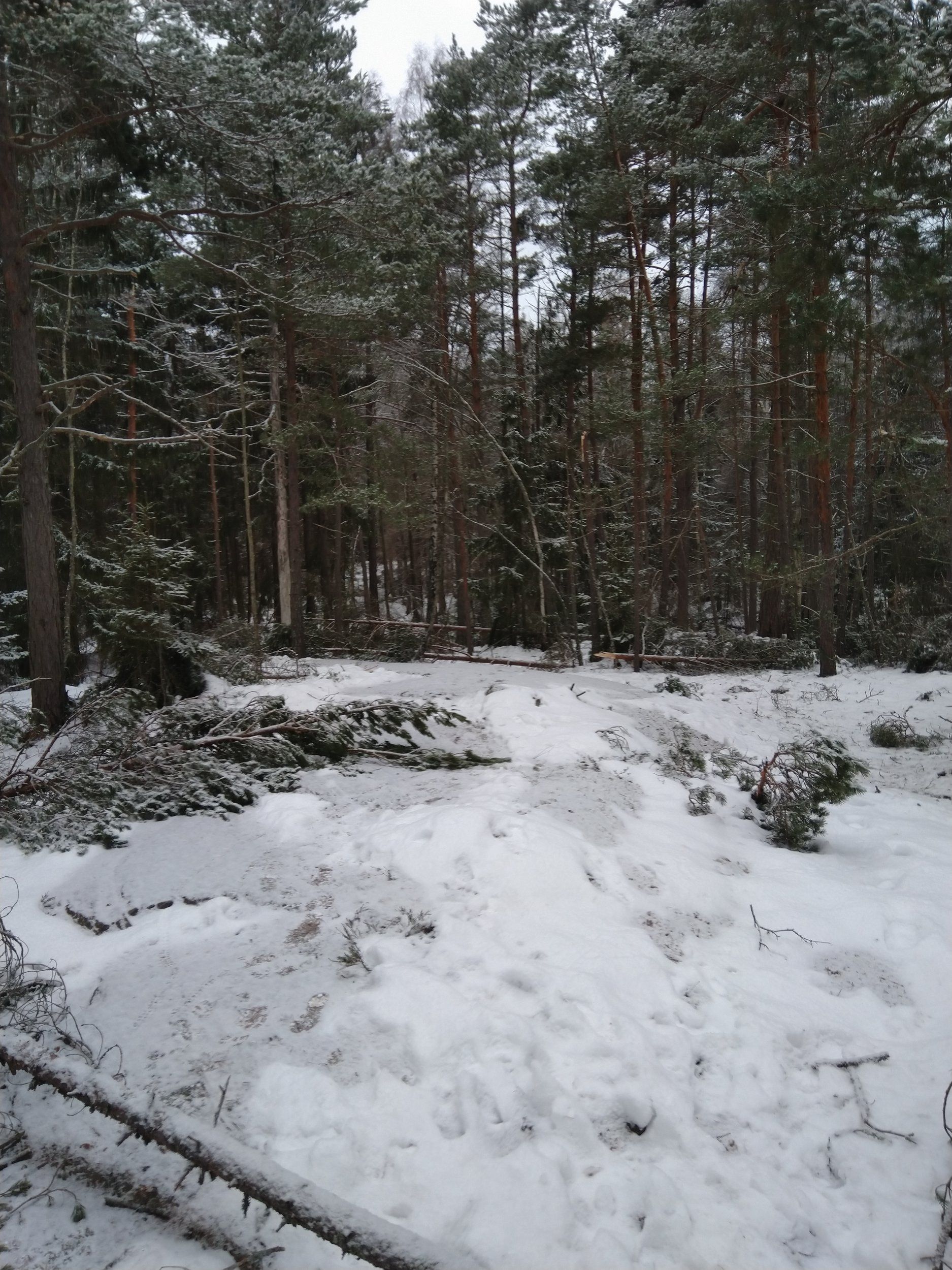 IMG_20221210_105517.jpg