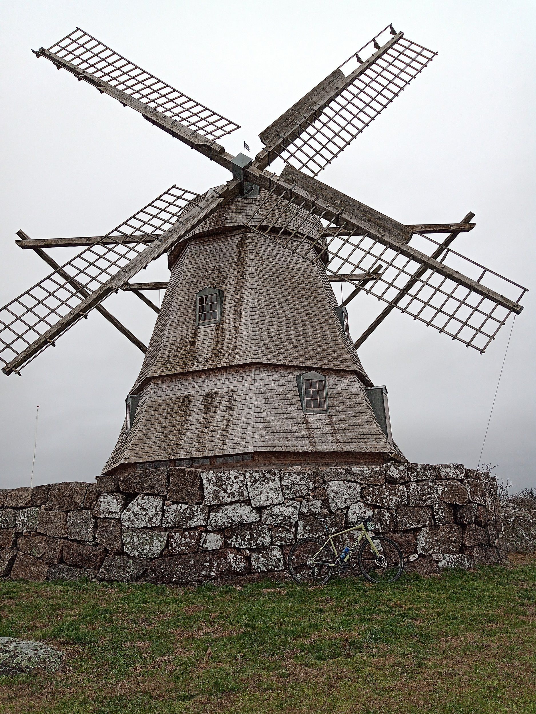 IMG_20230131_121742_493.jpg