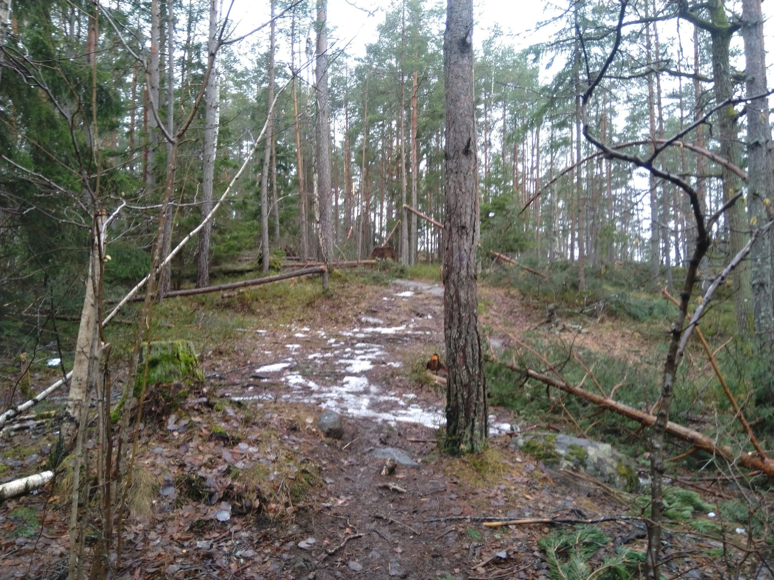 IMG_20230322_084246.jpg