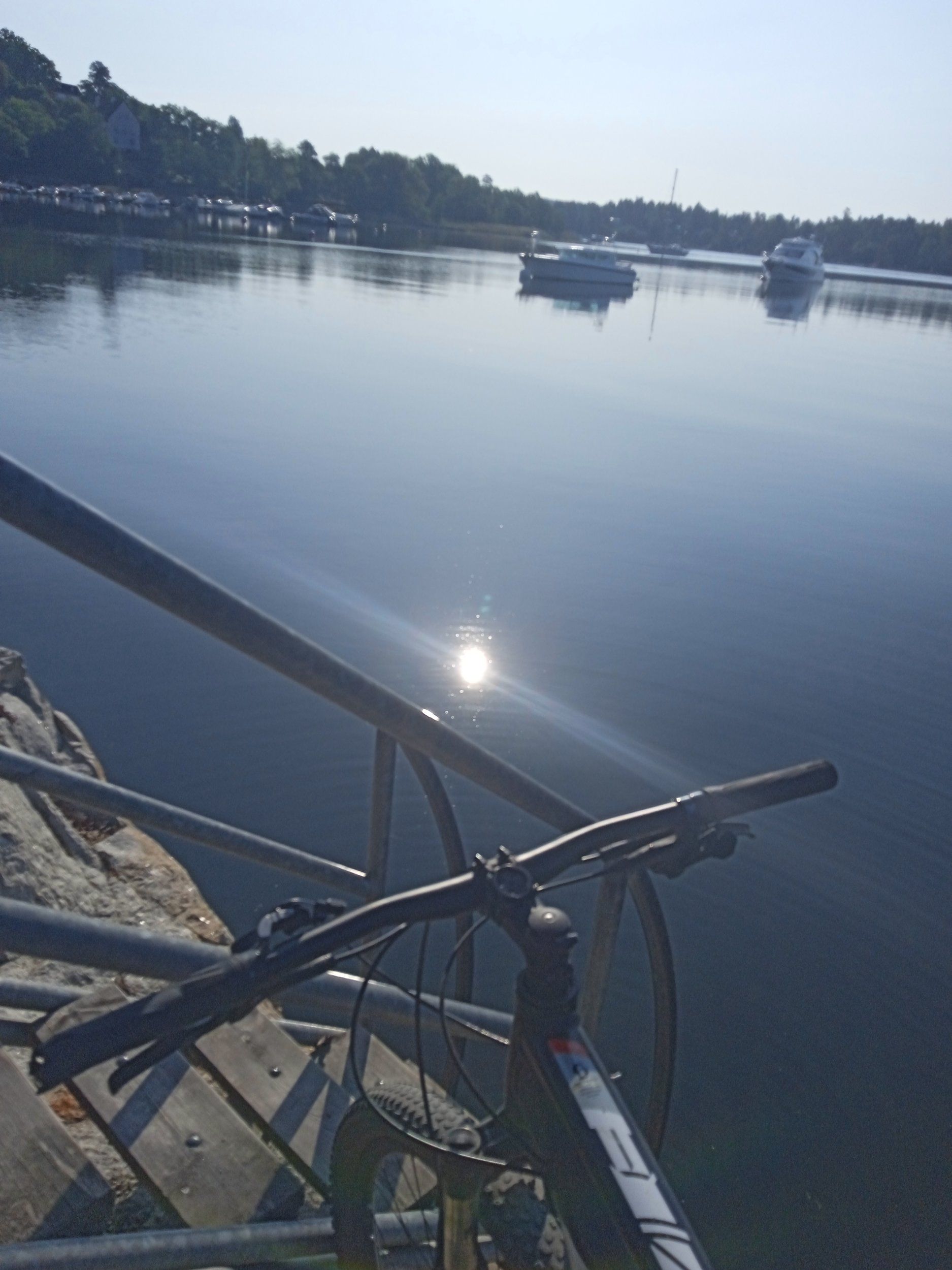 IMG_20230606_072024.jpg