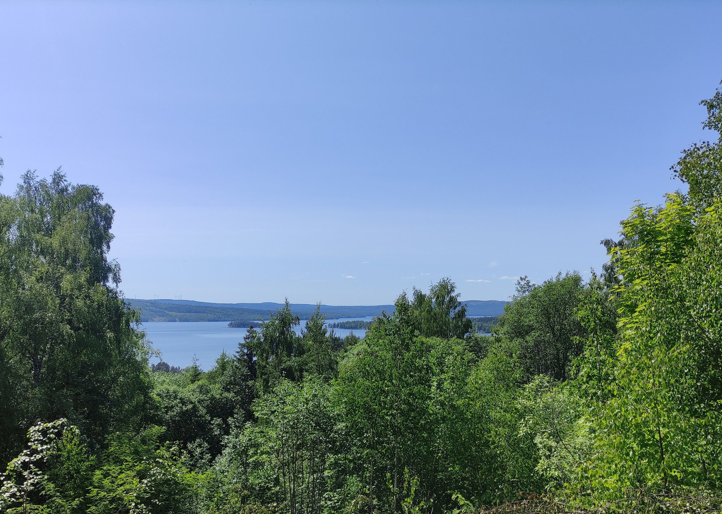 IMG_20230610_141451.jpg