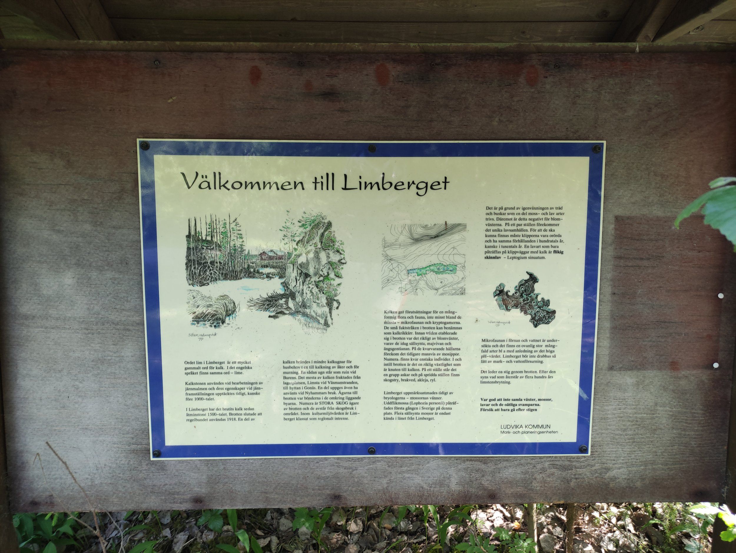 IMG_20230610_144603.jpg
