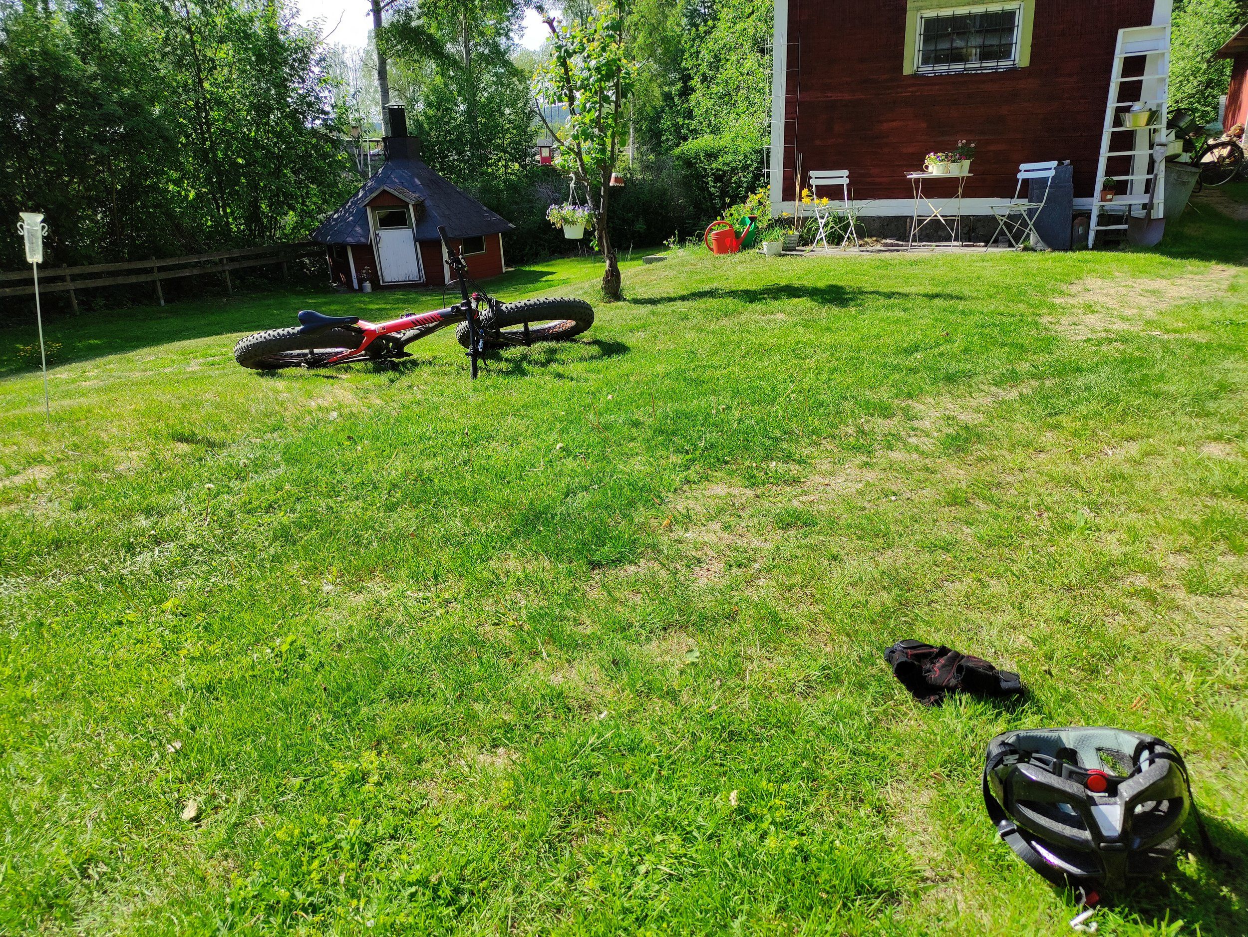 IMG_20230610_161752.jpg