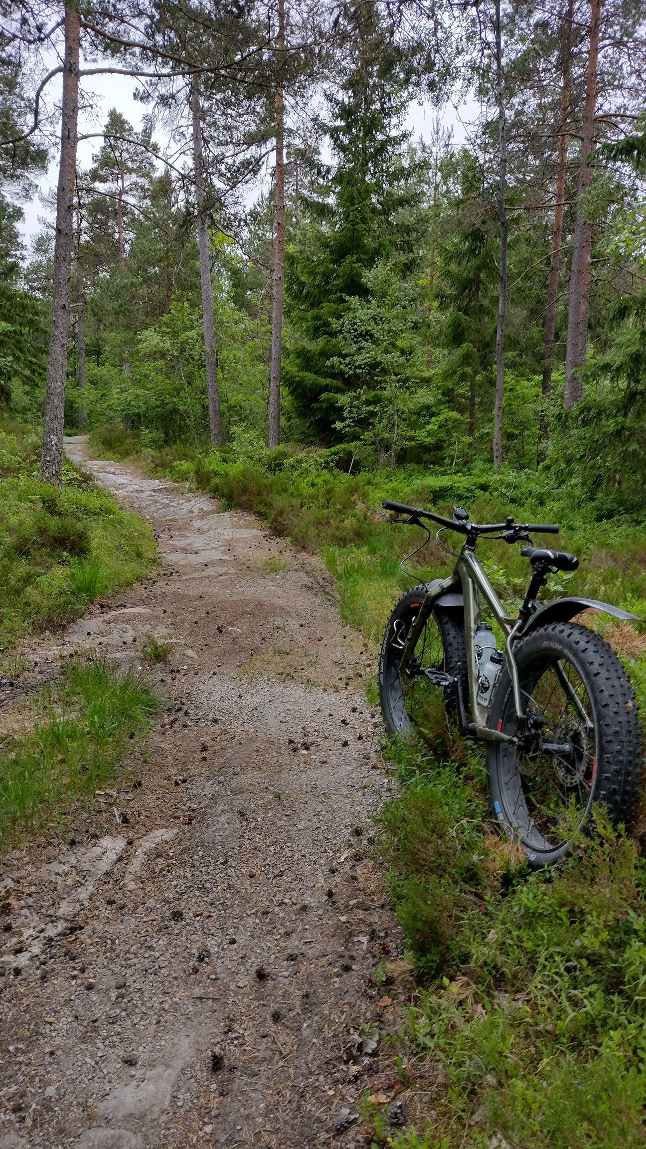 IMG_20230618_070001166.jpg