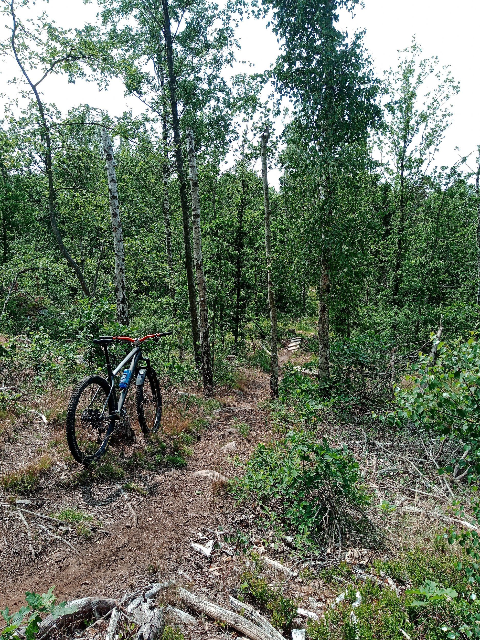 IMG_20230620_124241_871.jpg