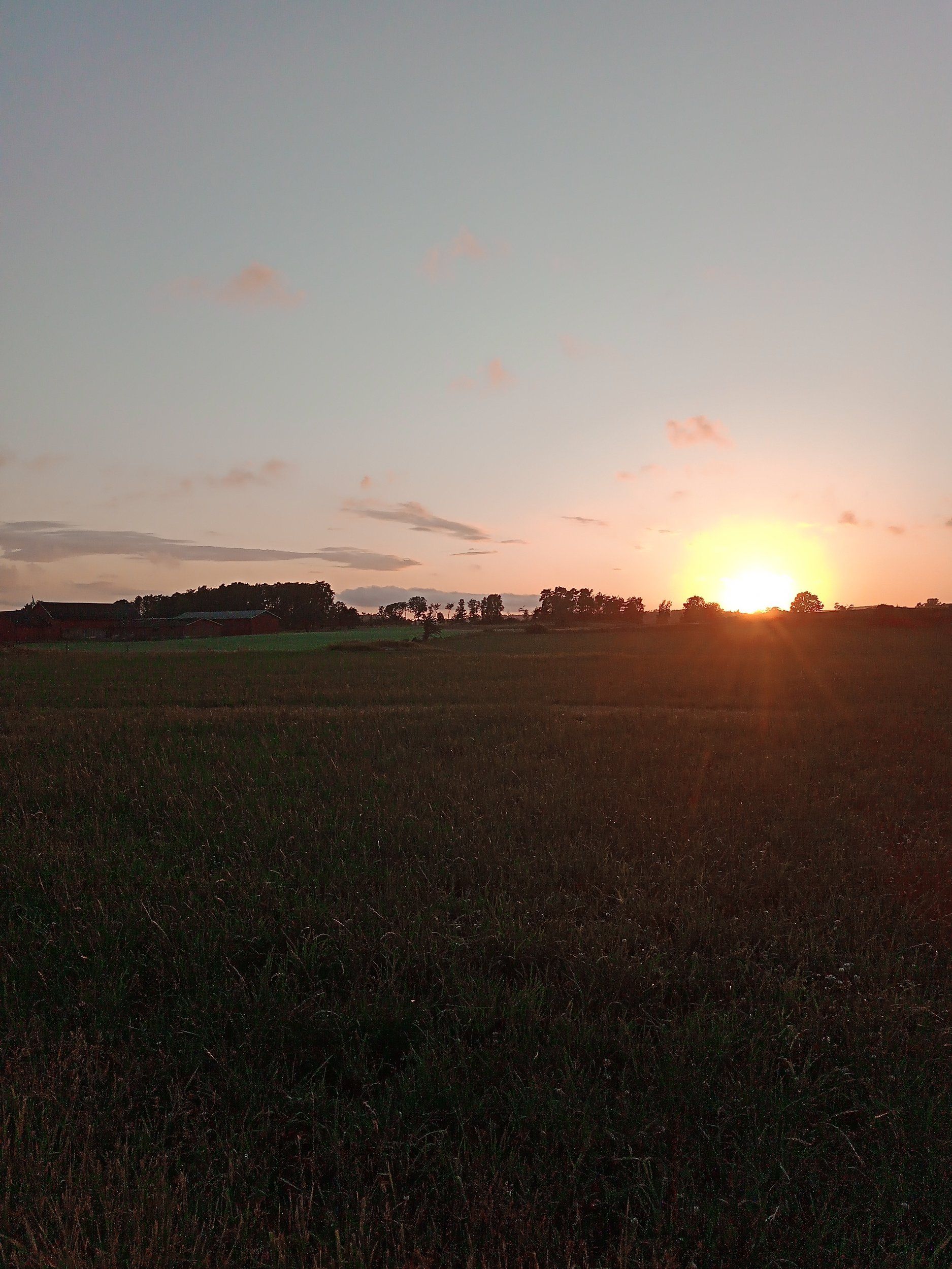IMG_20230627_214626_614.jpg