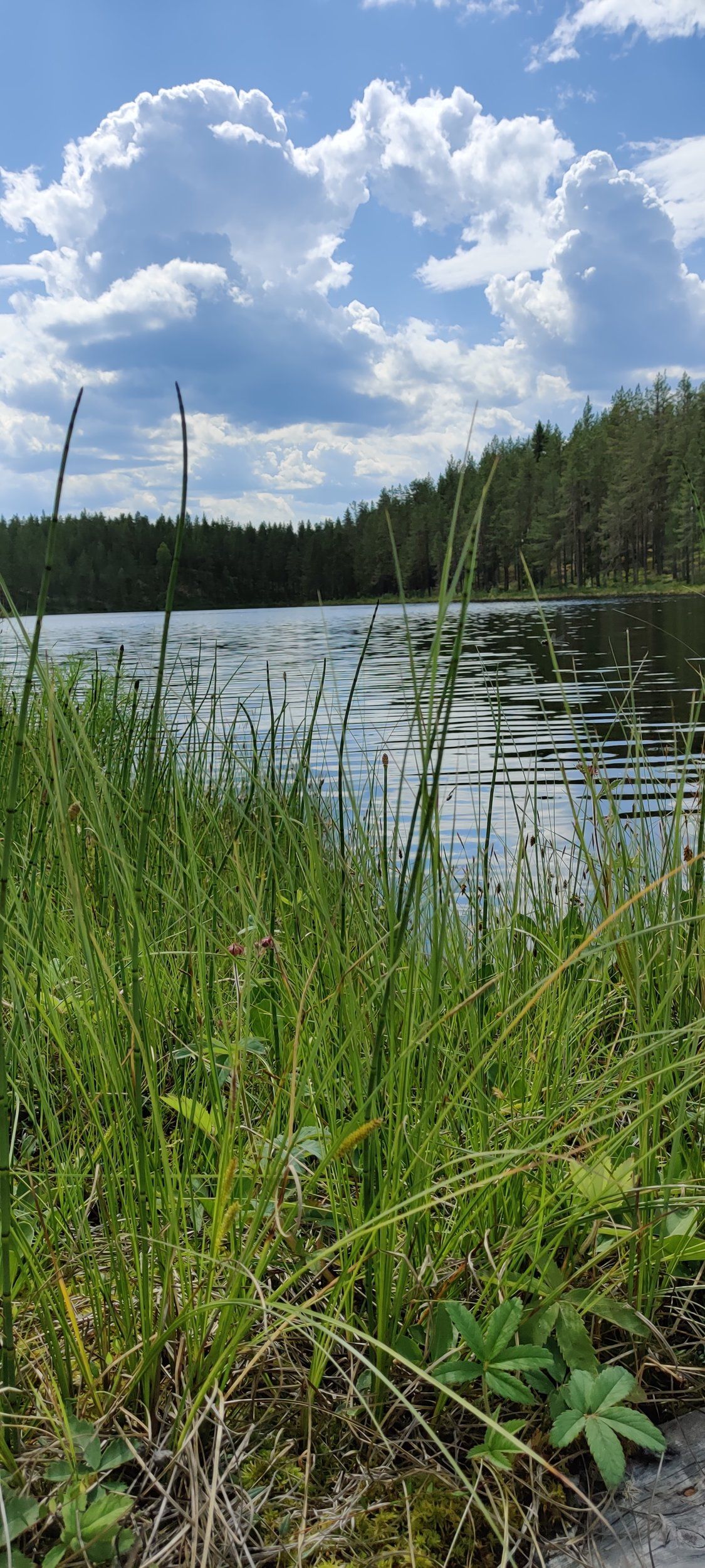 IMG_20230628_134355.jpg