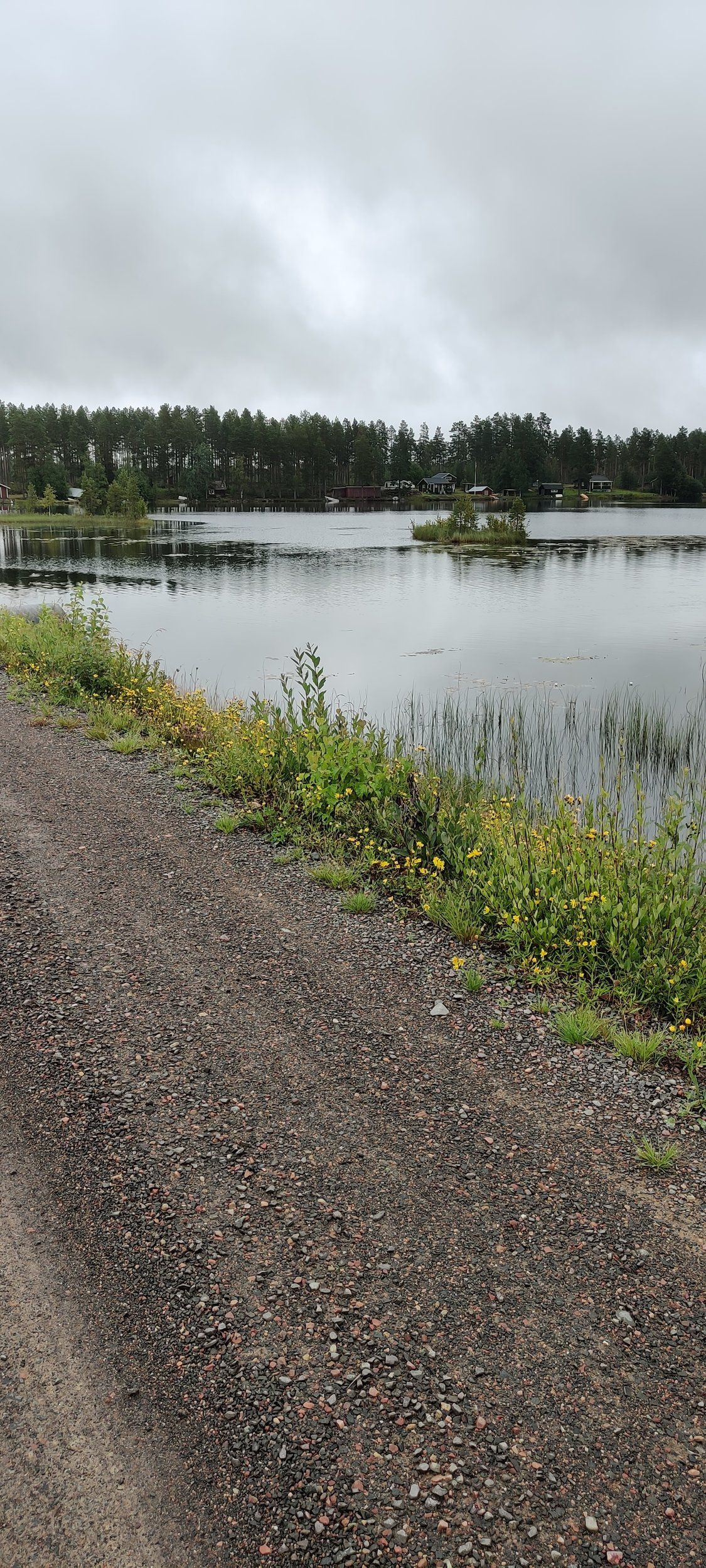 IMG_20230805_120820.jpg