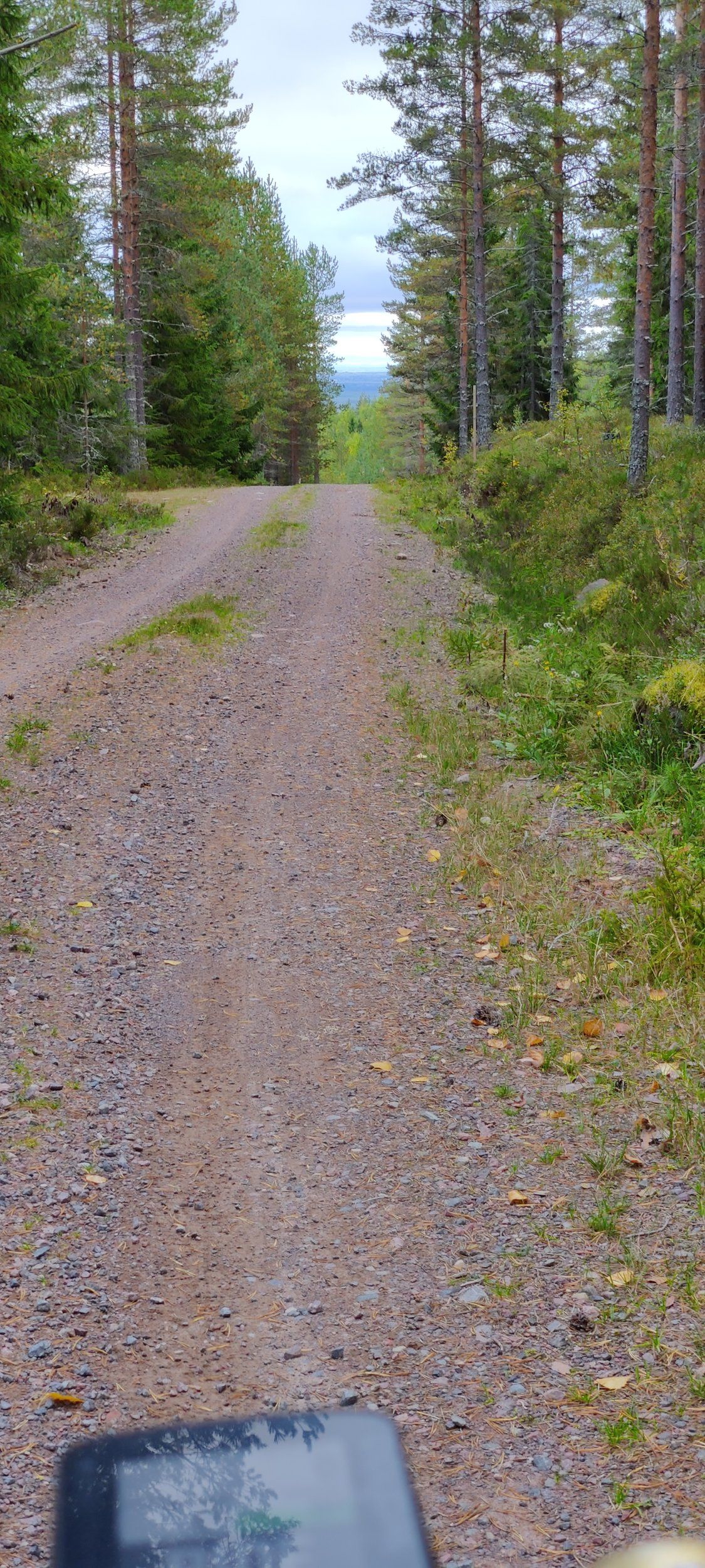 IMG_20230912_173138.jpg