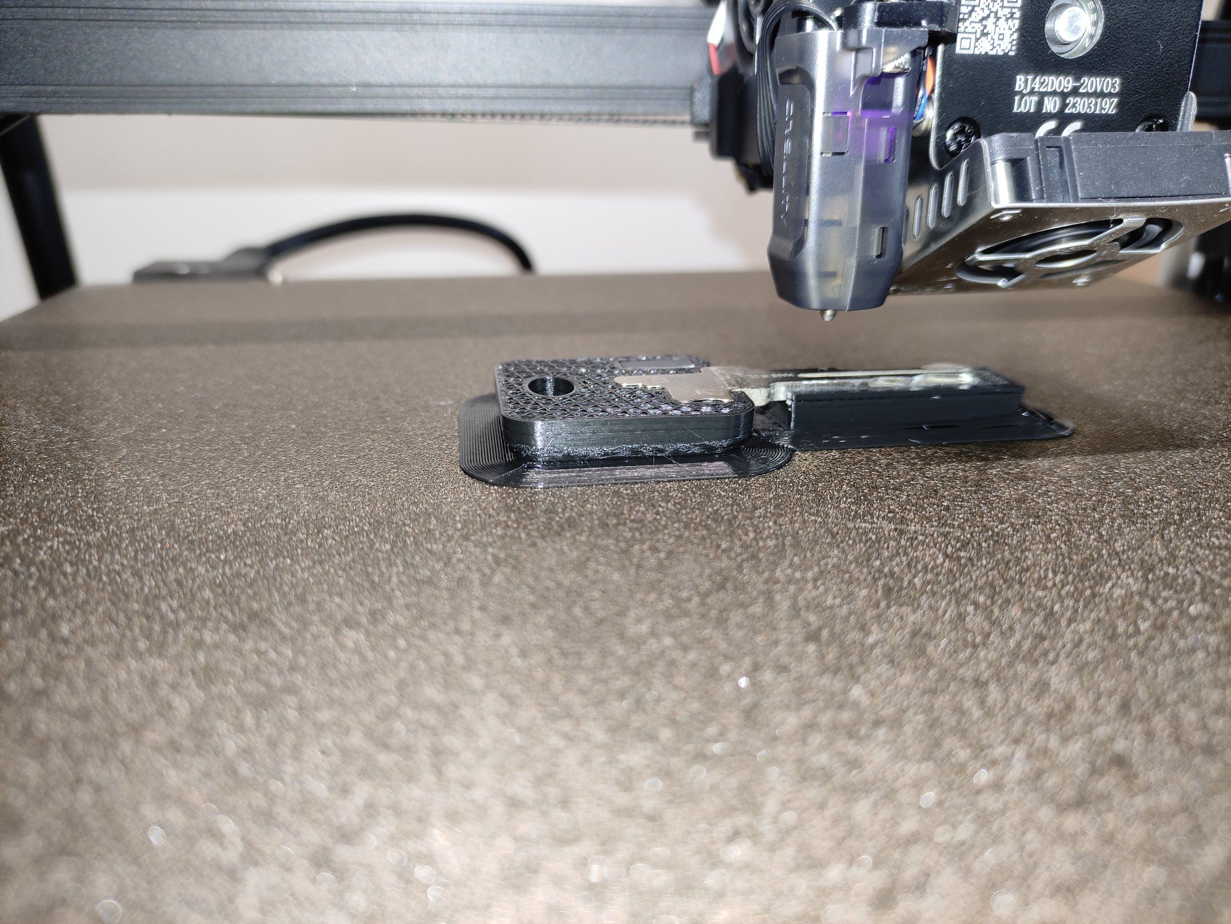 IMG_20230928_114222.jpg