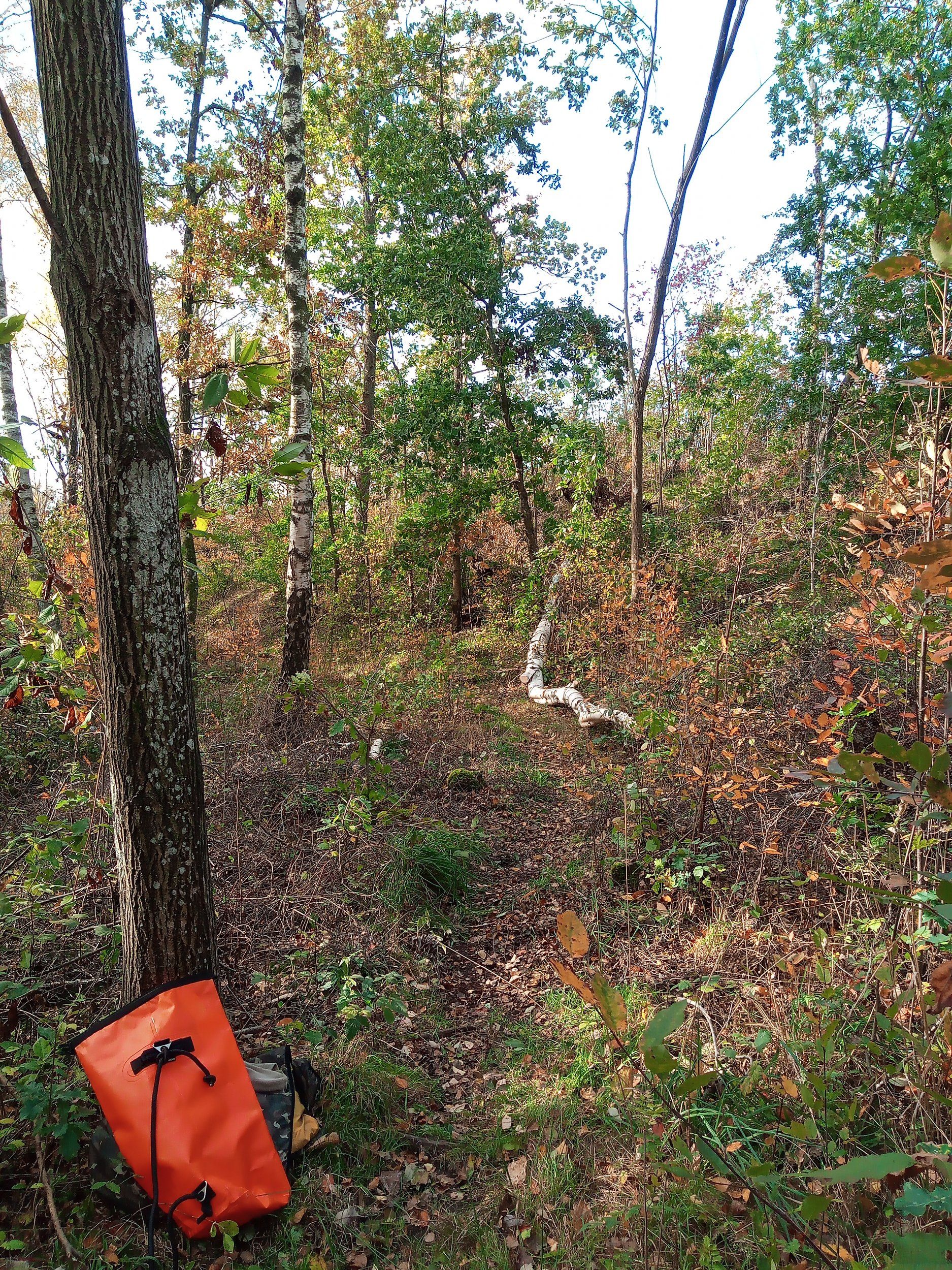 IMG_20231020_113901_627.jpg