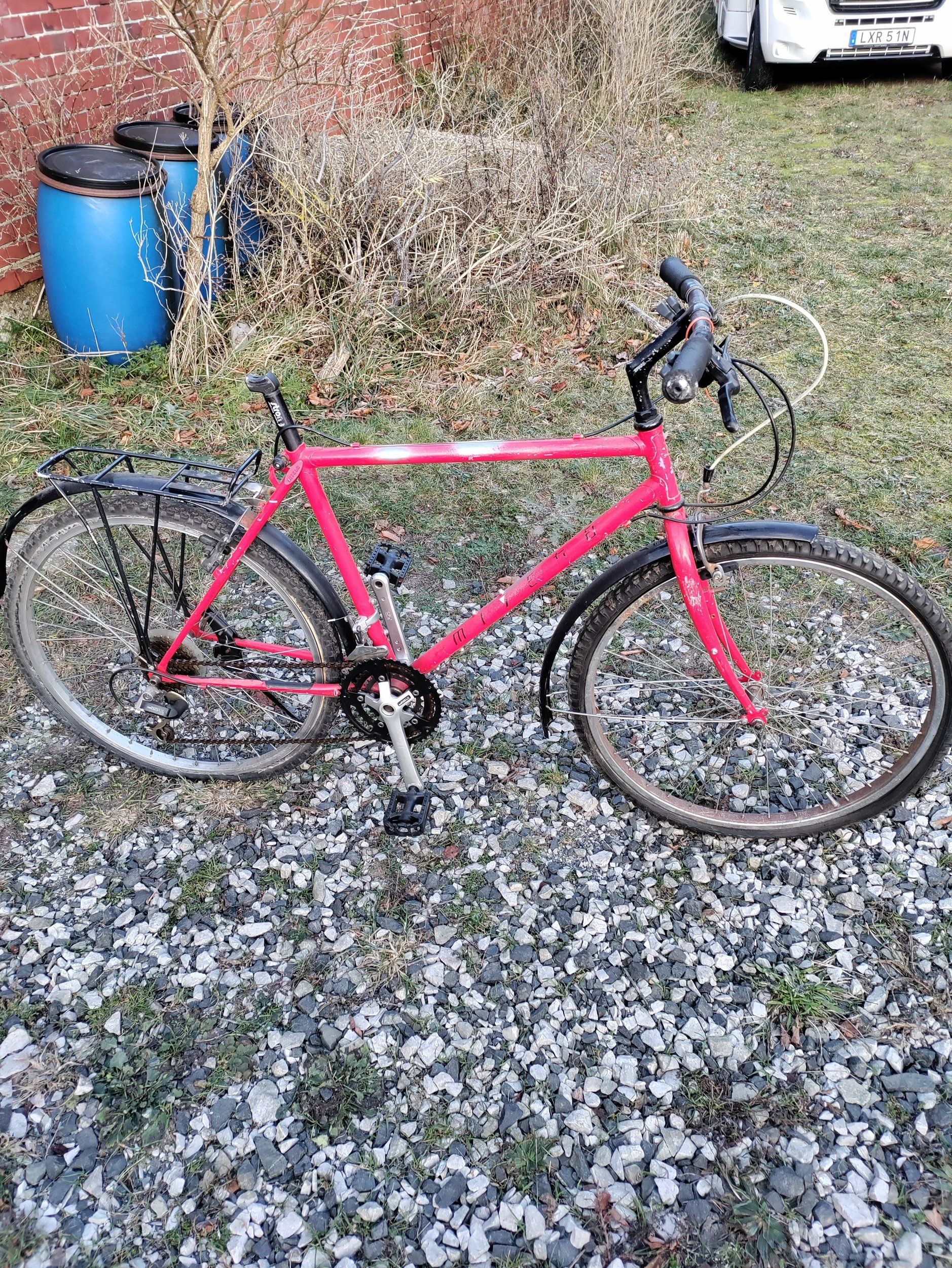 IMG_20231214_095910.jpg