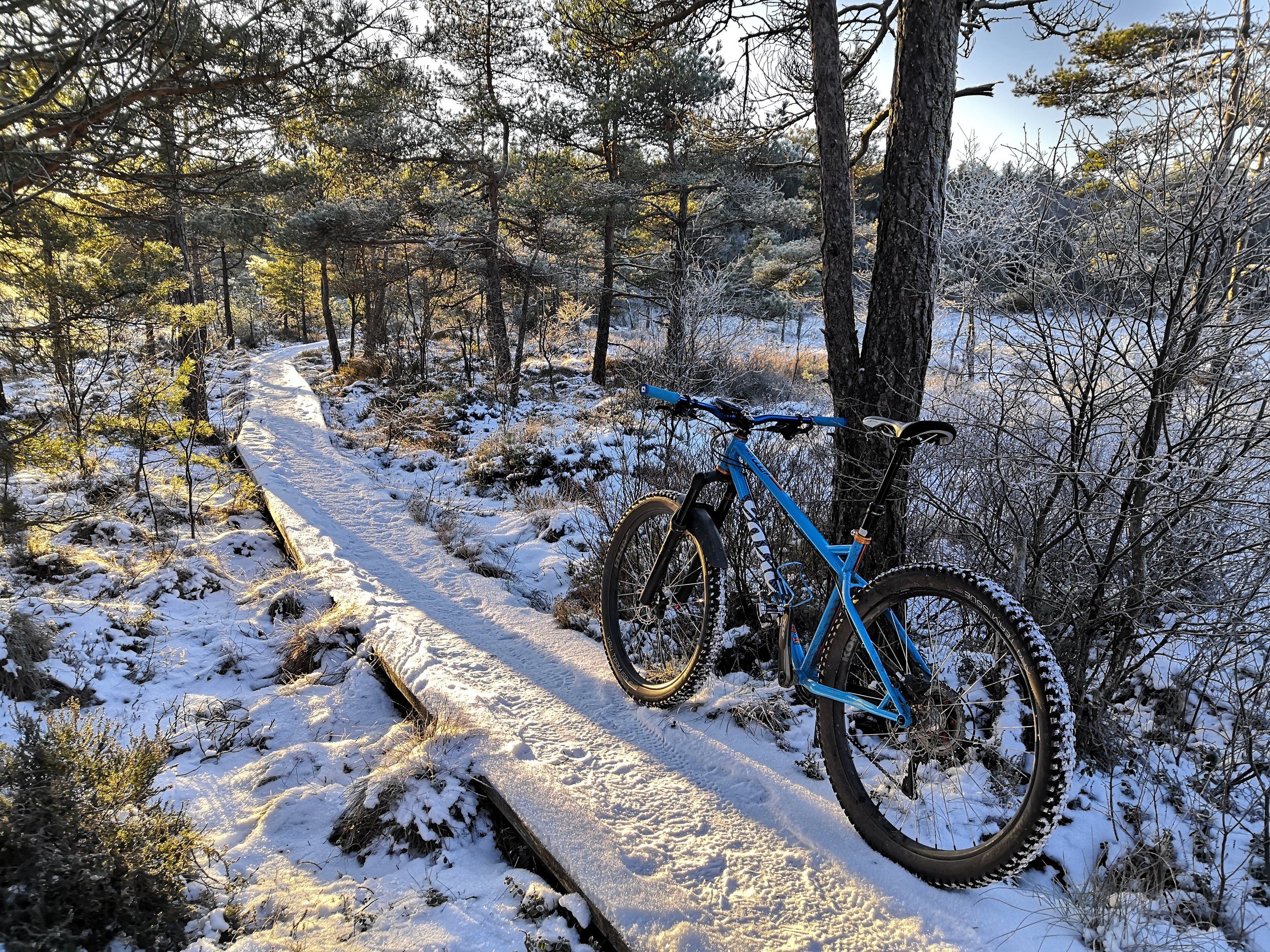 IMG_20240106_142341.jpg