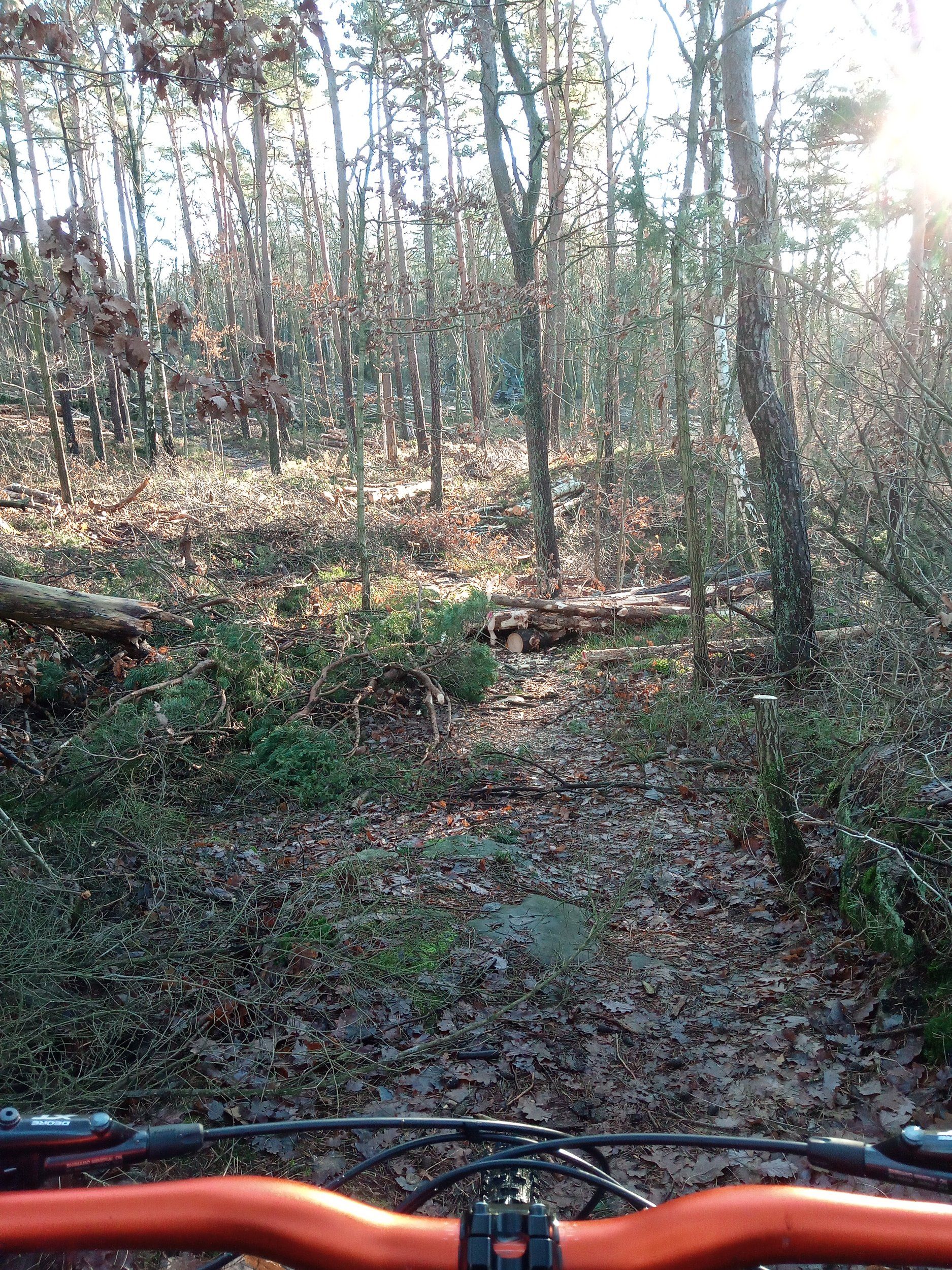 IMG_20240125_111320_269.jpg