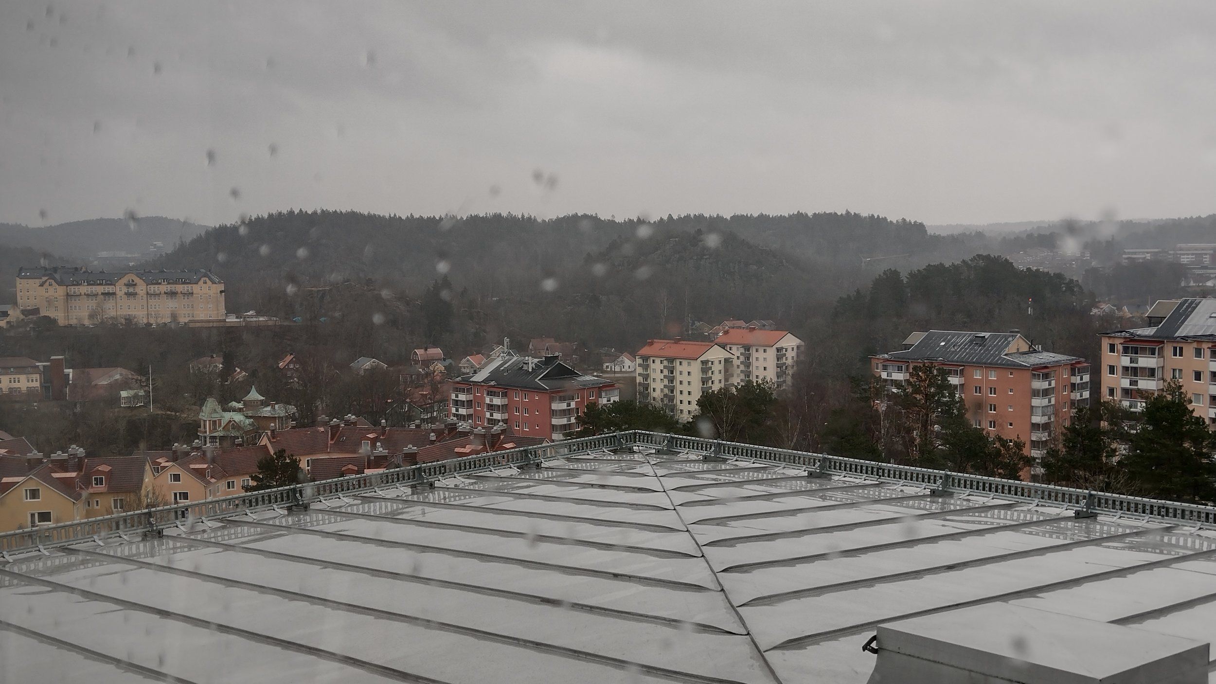 IMG_20240229_112333503_HDR.jpg