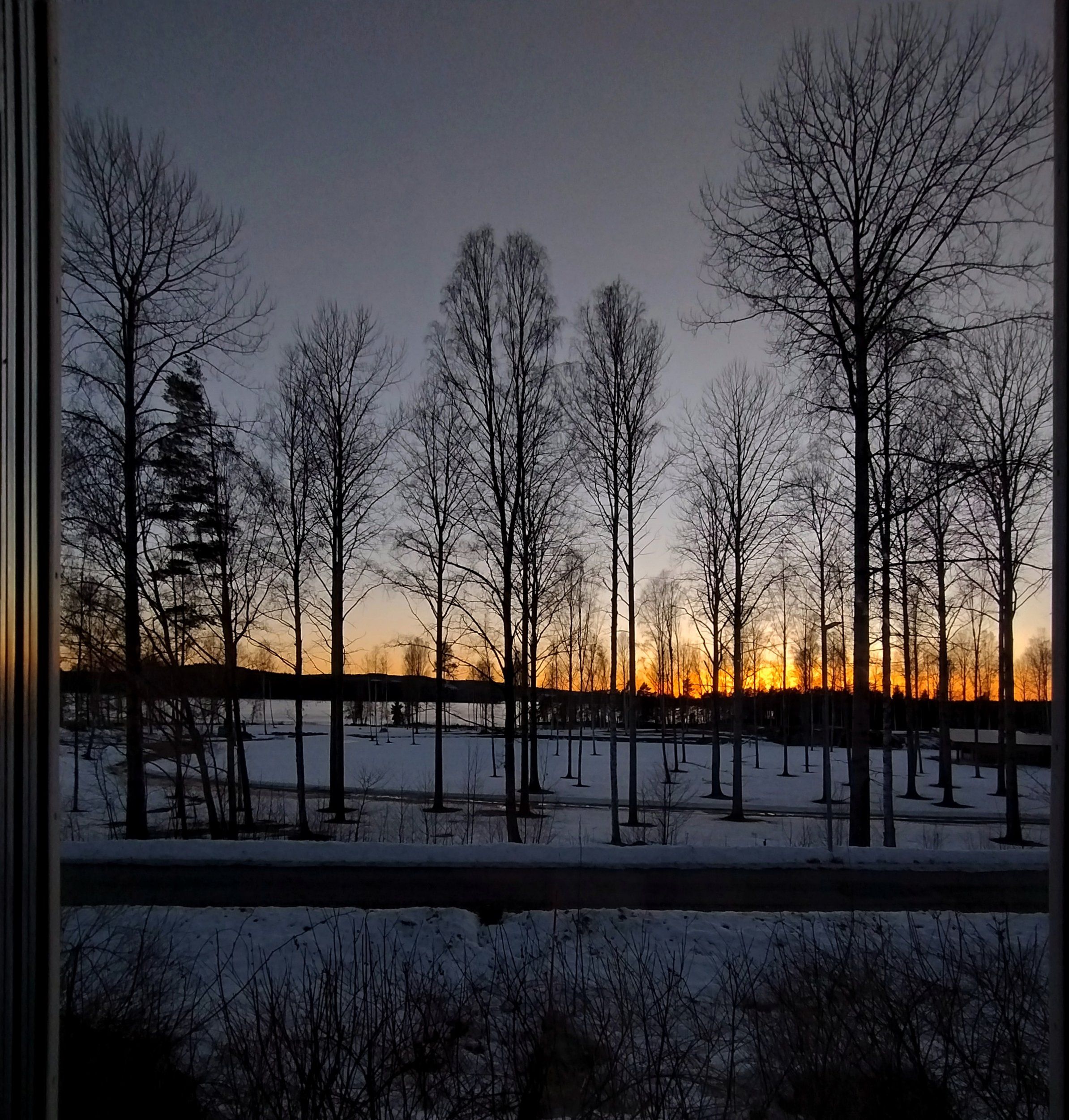 IMG_20240307_173527809_HDR-01.jpeg