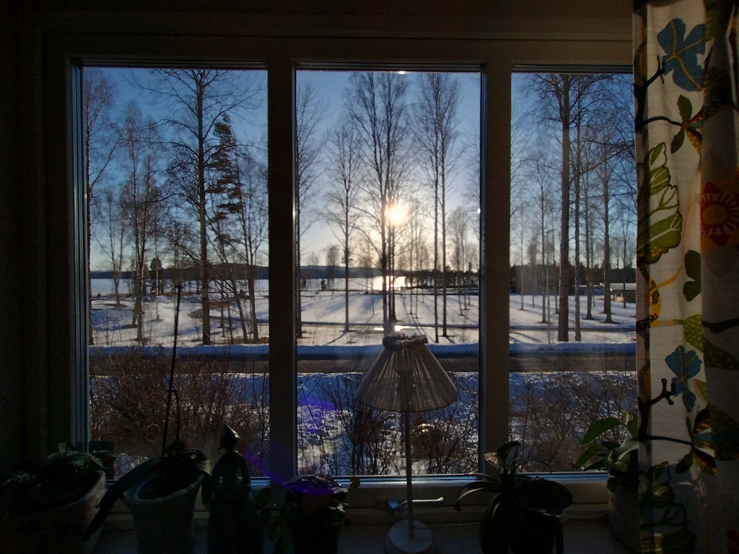 IMG_20240308_161025353_HDR.jpg