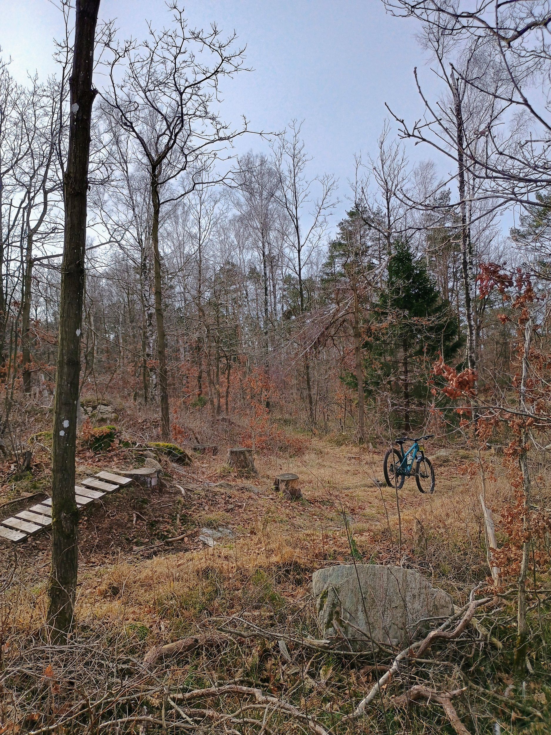 IMG_20240318_094746874_HDR_AE.jpg