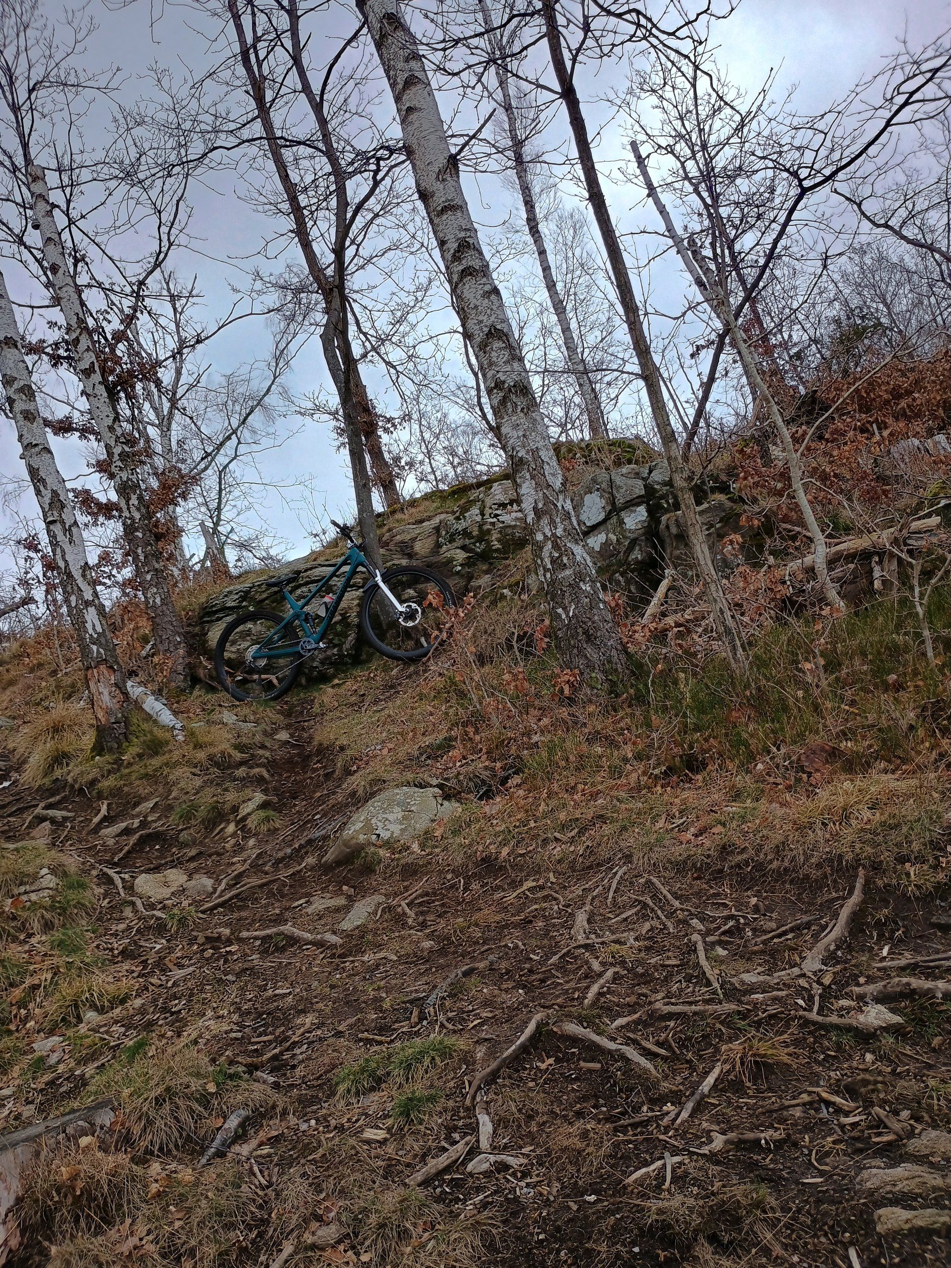 IMG_20240325_100001129_HDR.jpg